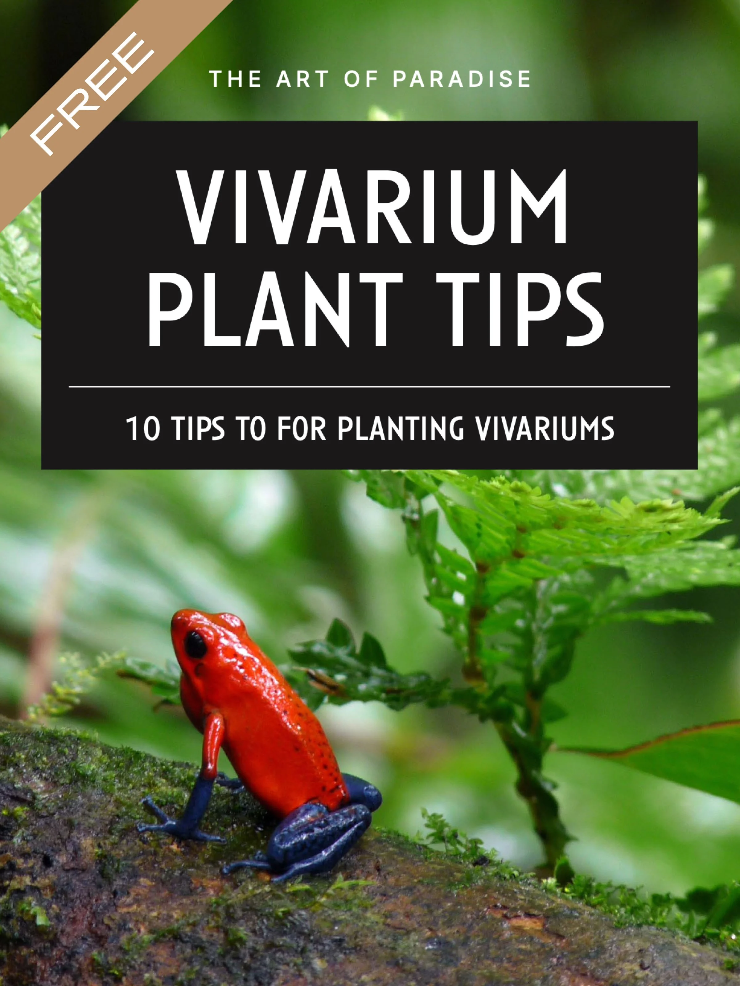Vivarium Construction Tips — Valley Vivariums