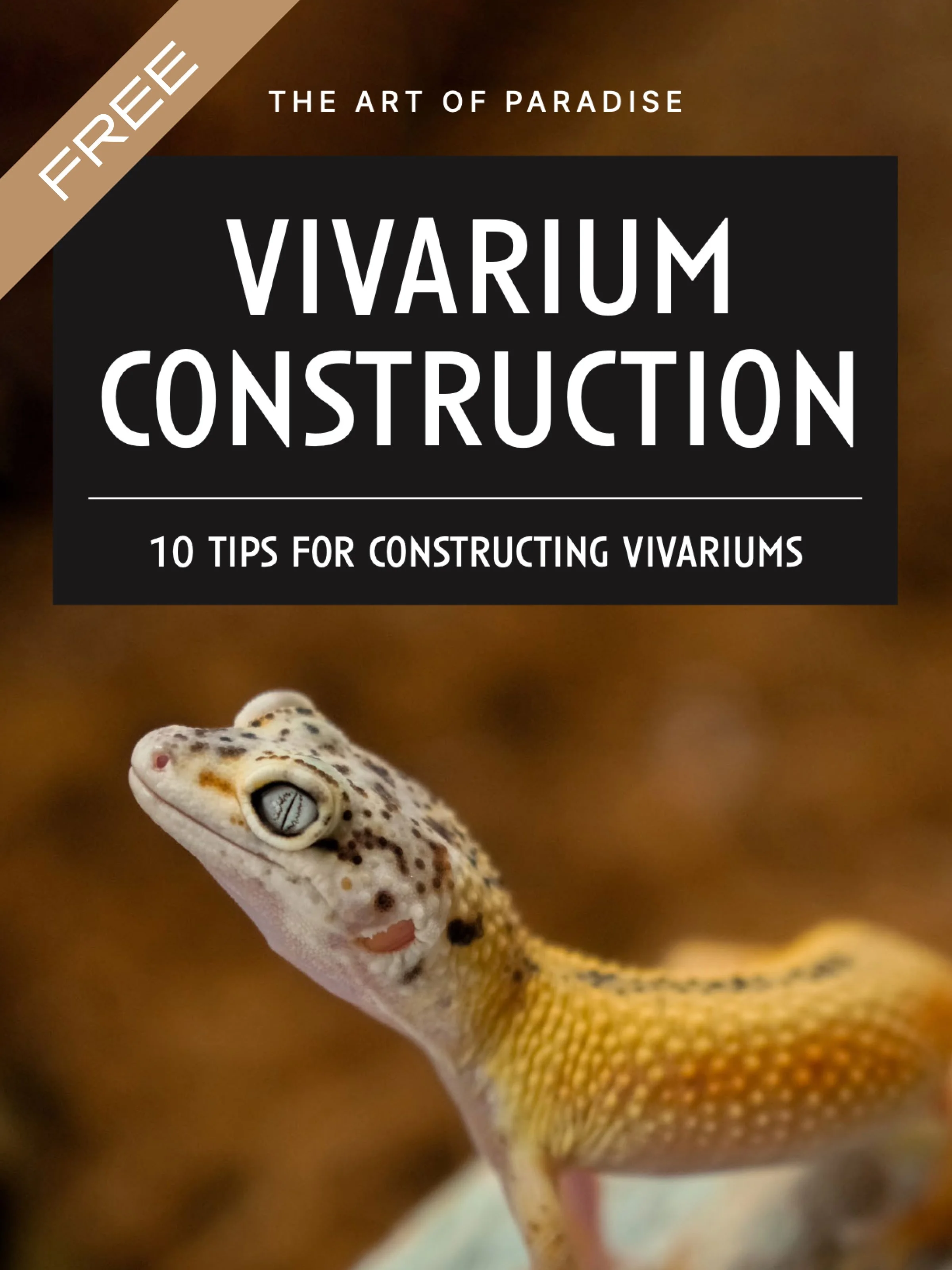 Vivarium Construction Tips — Valley Vivariums