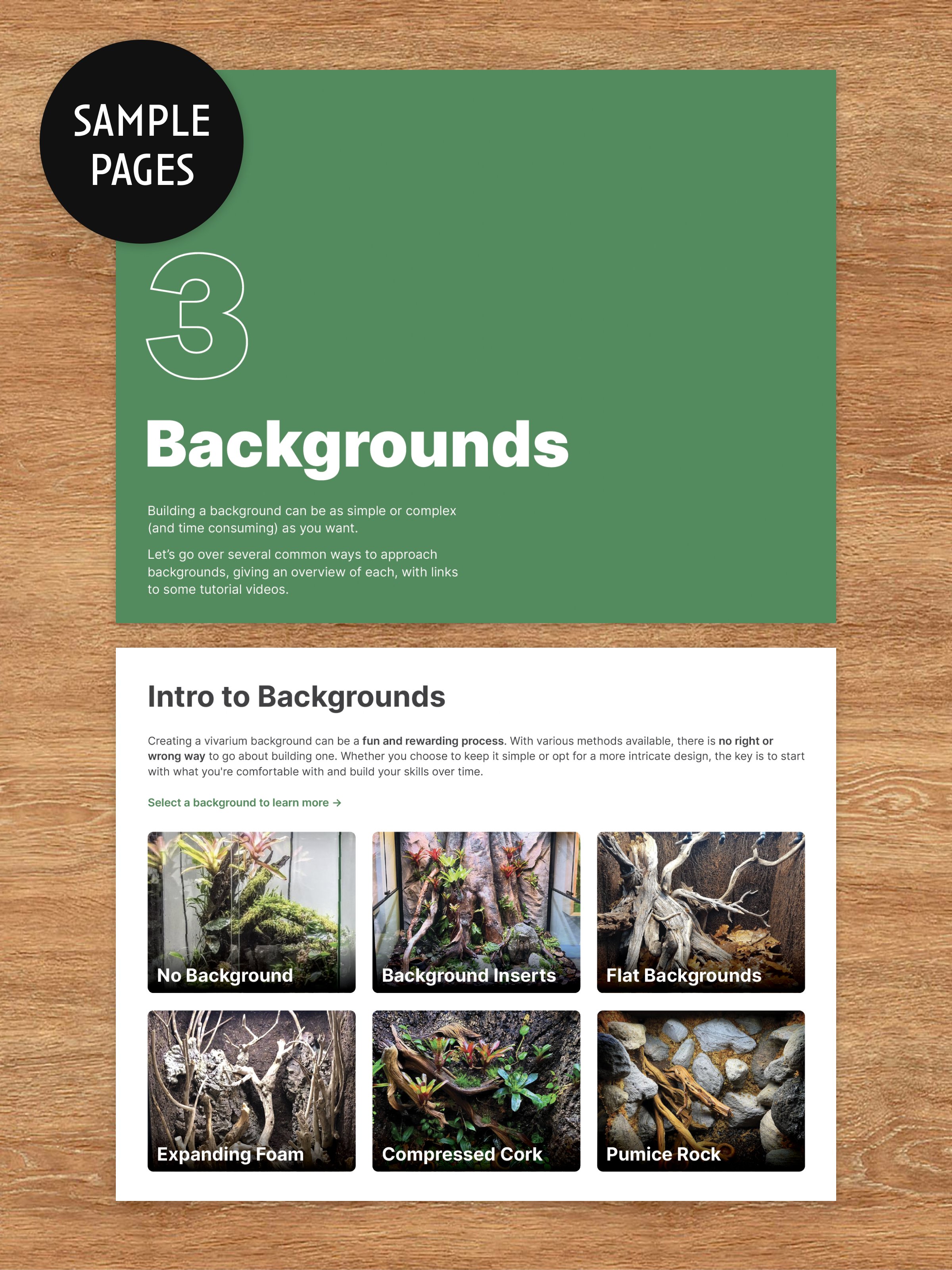 Vivarium-Guidebook-04.jpg