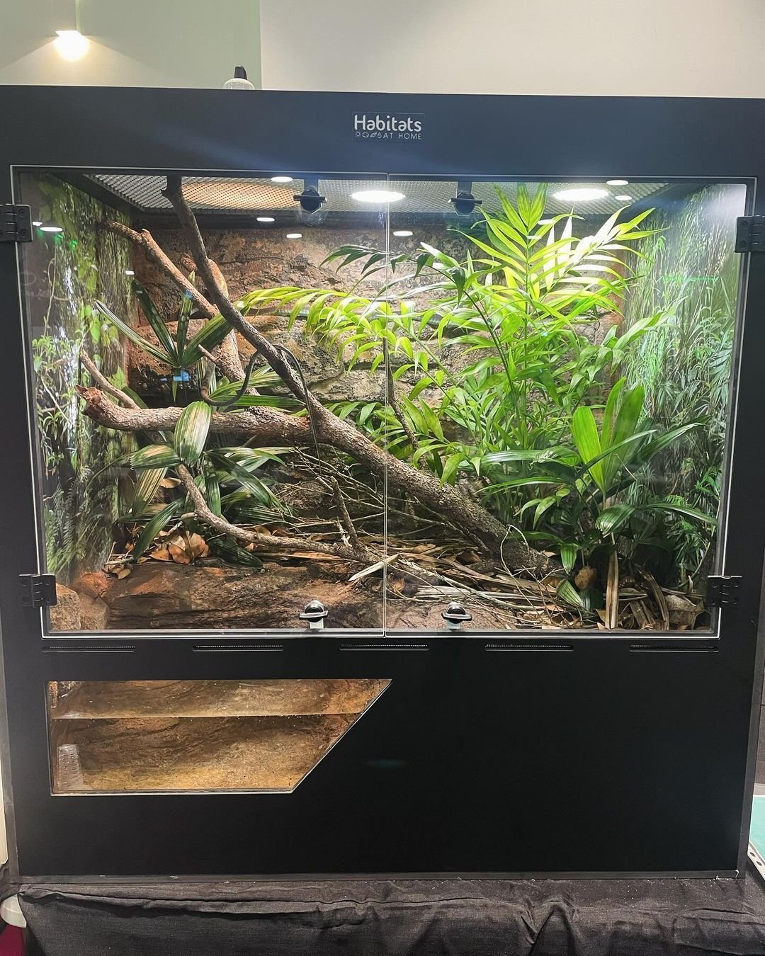 Scaping for snakes can be a real challenge given how destructive they can be, but @habitatsathome knows how it's done!

📸 Credit: @habitatsathome 

💬 DM or tag to be featured! #vivariumcollective

📘 Visit our website for vivarium articles, tips, a