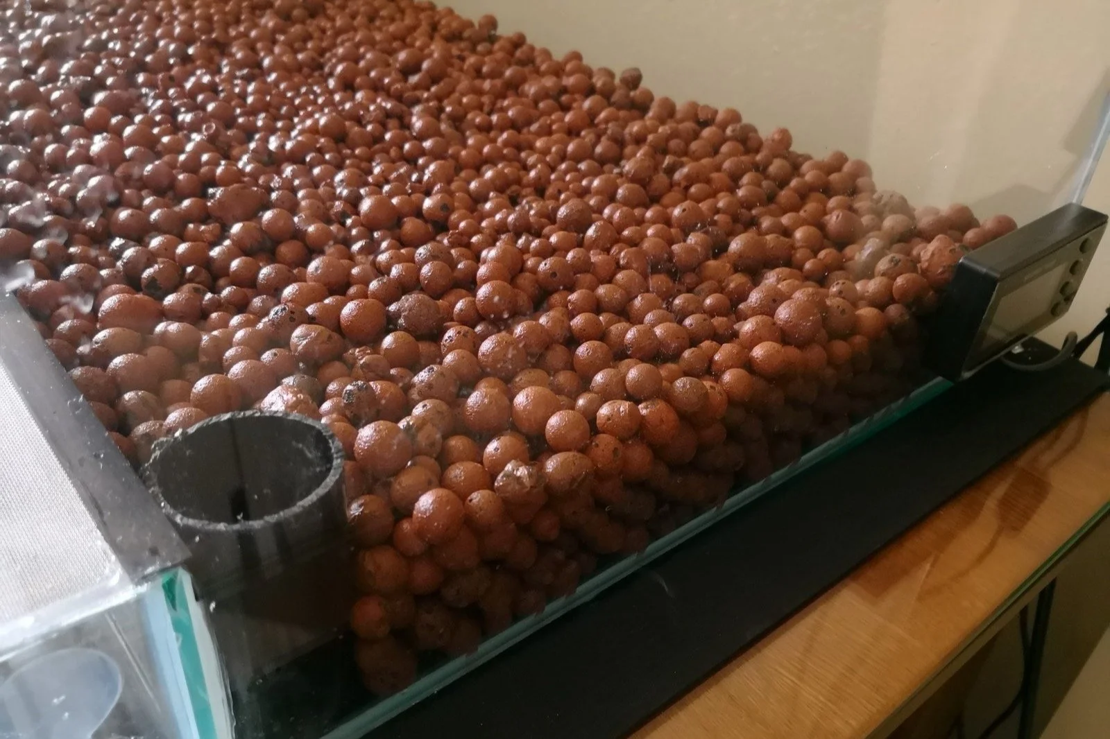 Drainage 3 Popular Vivarium Drainage Layers, and, Do You Even Need One