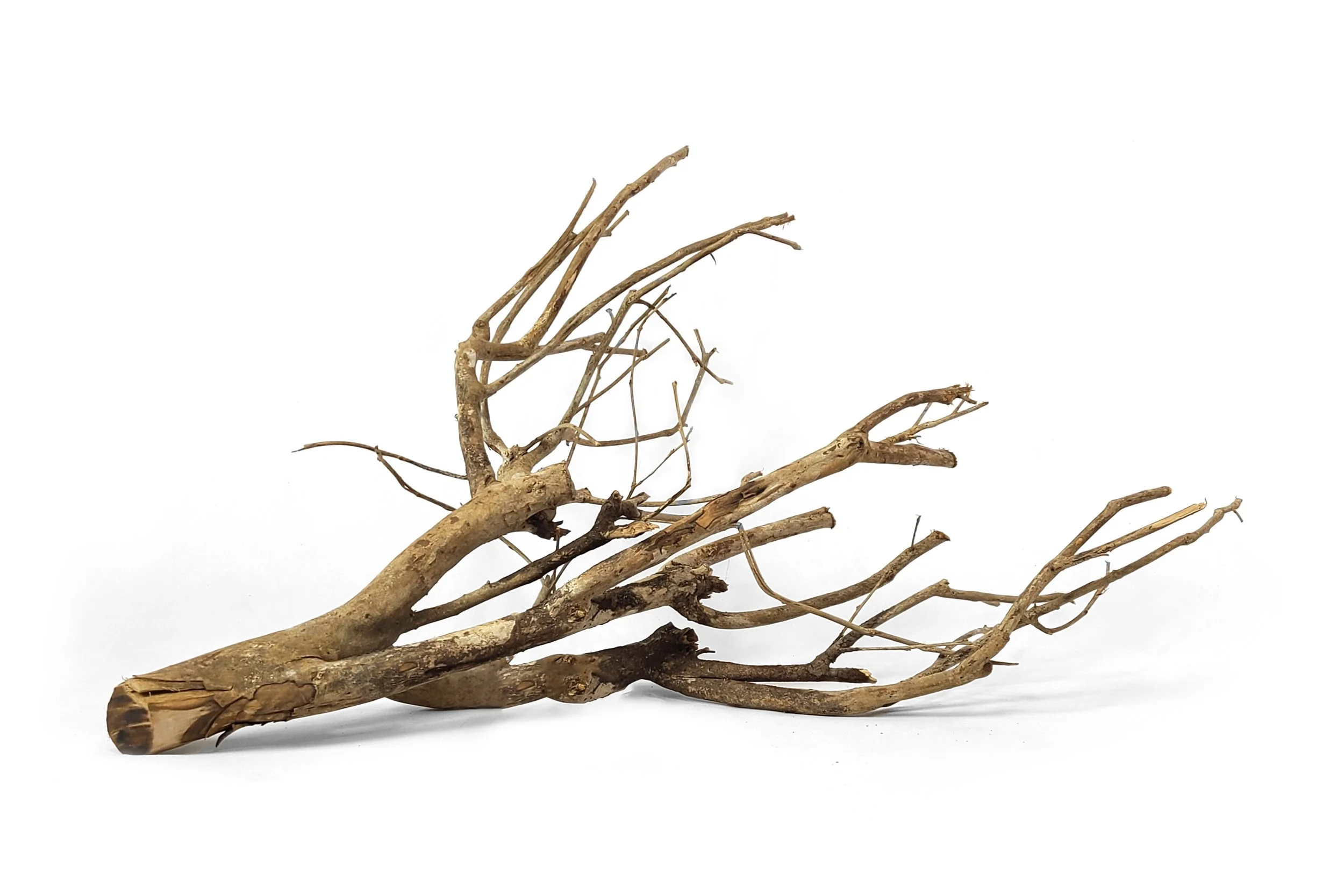 Hardscape A Guide to the Best Vivarium Hardscape Materials — Vivarium