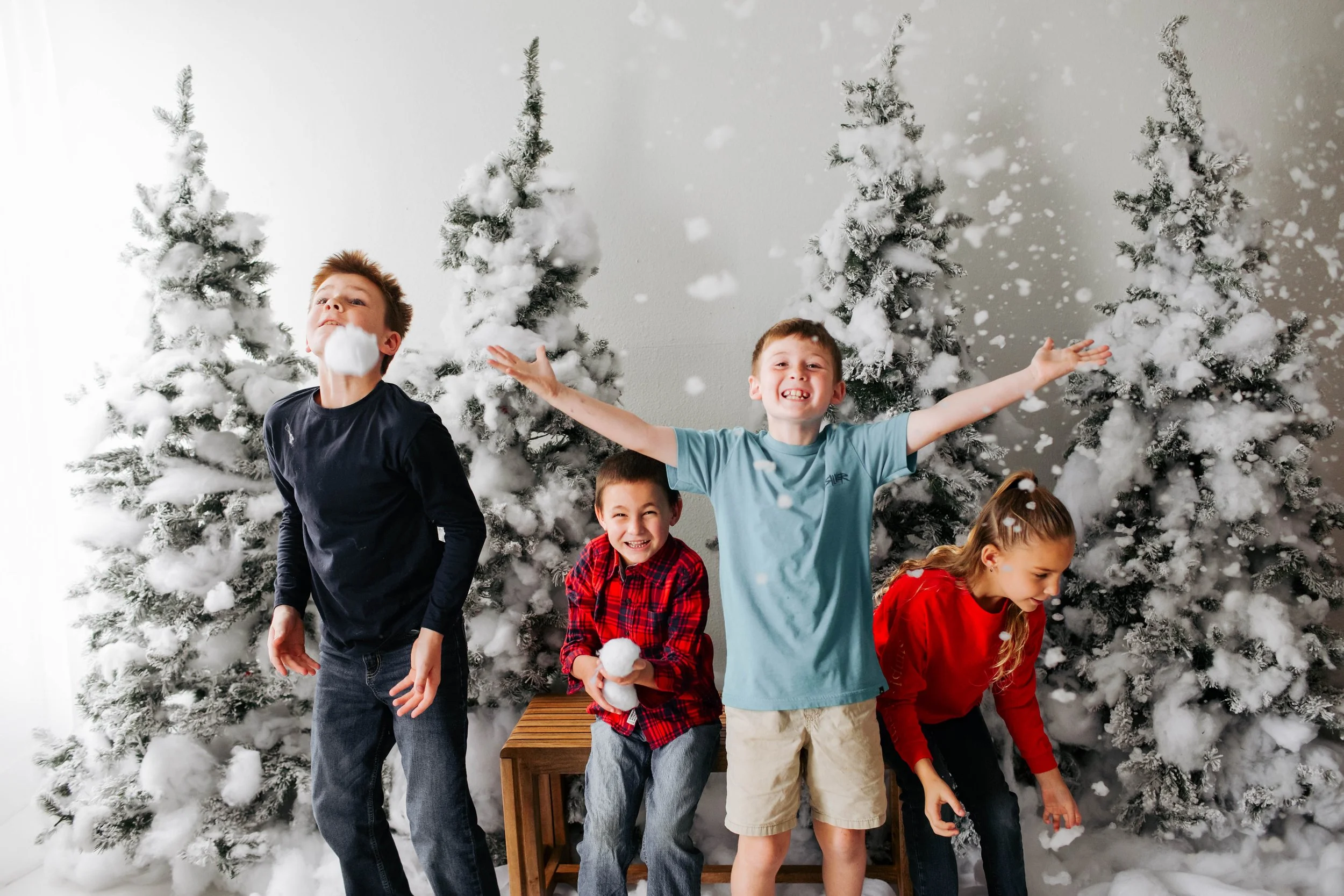 Christmas Mini Sessions 2025