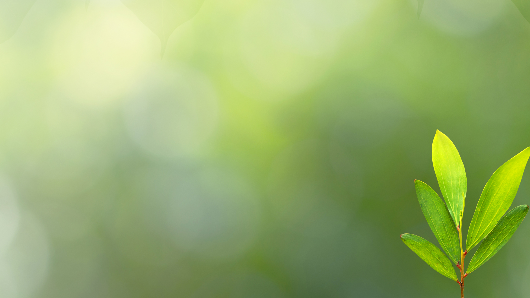 GreenCircle Certified, Amazon, and Procter &amp; Gamble to Host Webinar on Sustainability at the Point of Purchase 