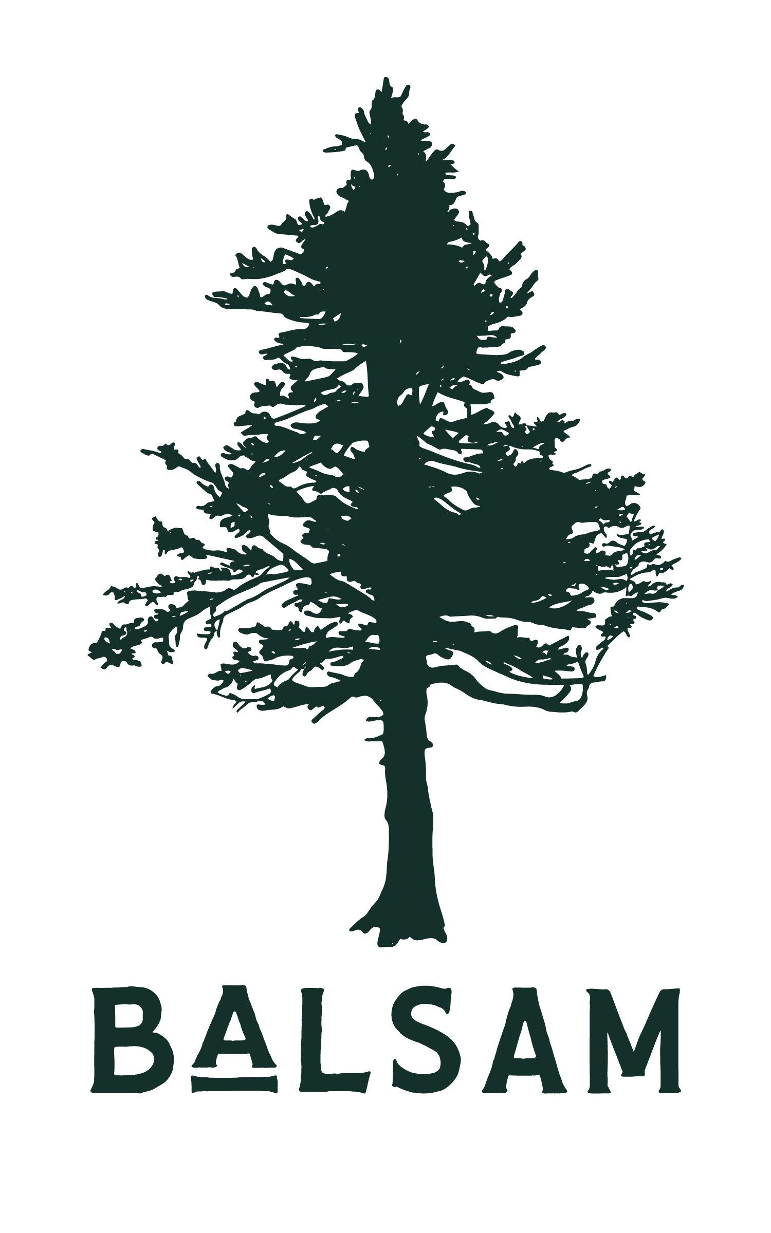 Balsam Business Photography