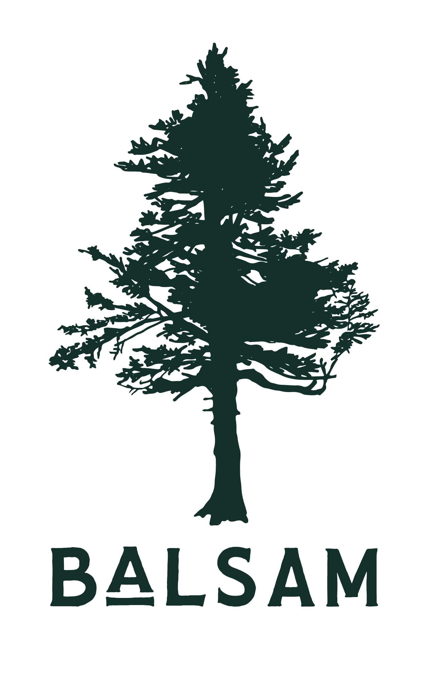 Balsam Business Photography