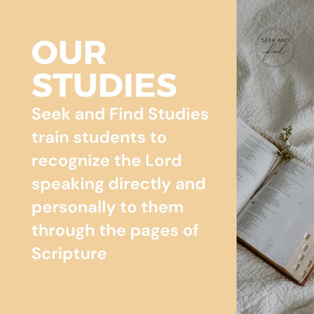 Your word is a lamp for my feet
and a light on my path.
Pslam 119:105 

The God of all creation speaks to each of us through the word He has given. Through the Bible He personally instructs, guides, comforts,  provides, and corrects us.

Our studies 