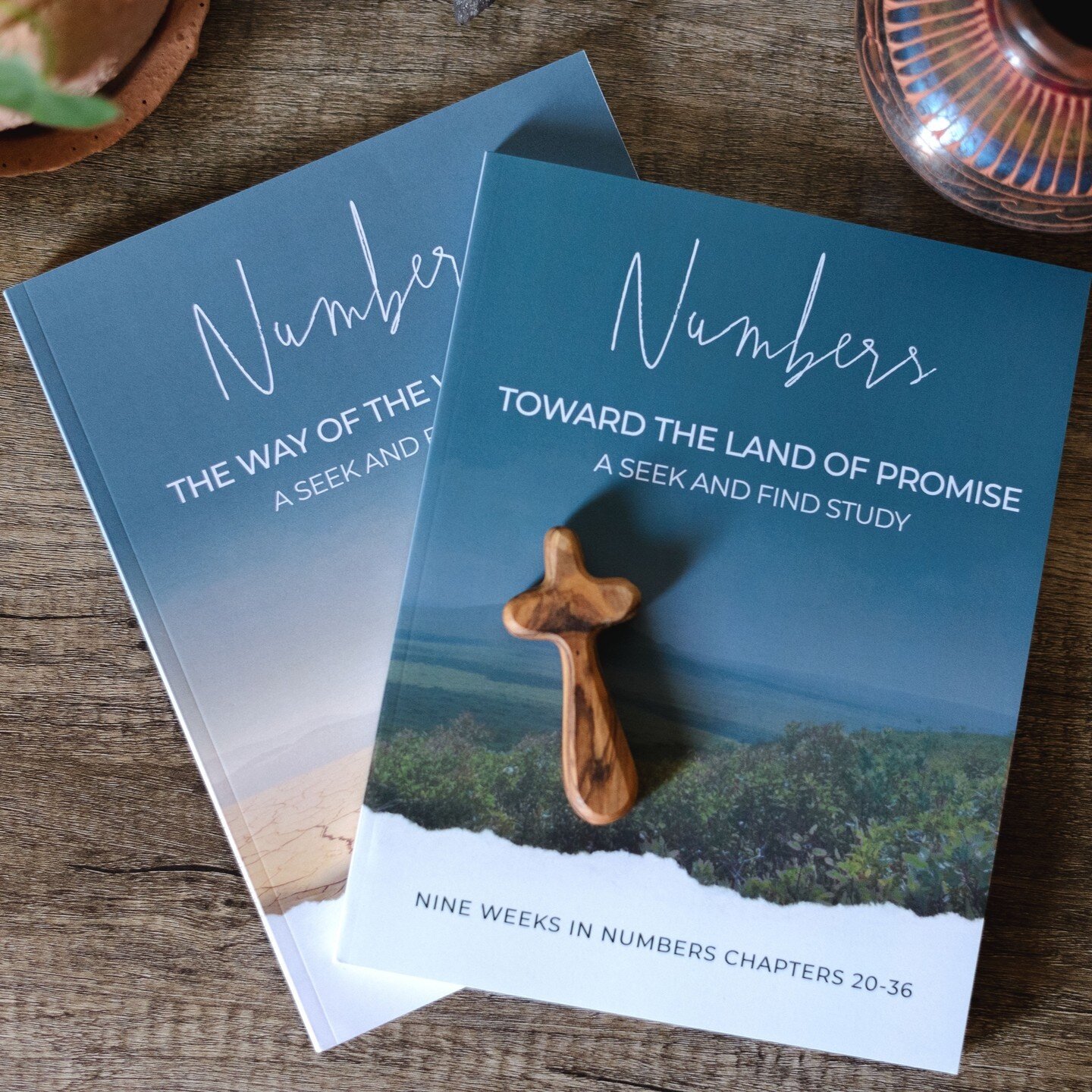 Our two part, in-depth study of the book of Numbers explores the journey of the Israelites through the wilderness and toward the land of God's promise.

Through their journey, the Israelites came to know the wilderness as a place of teaching, of test