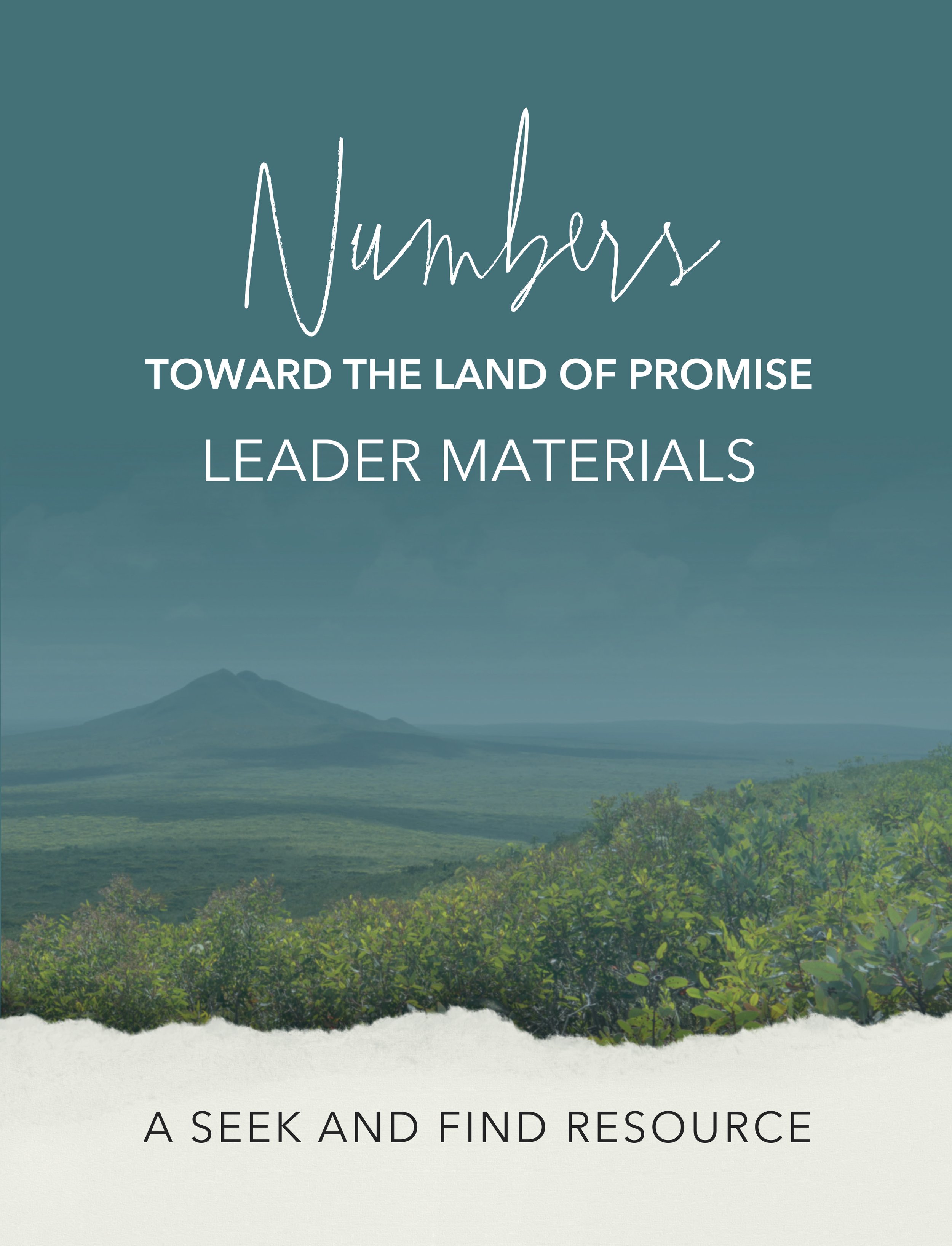 Purchase Here (Copy)