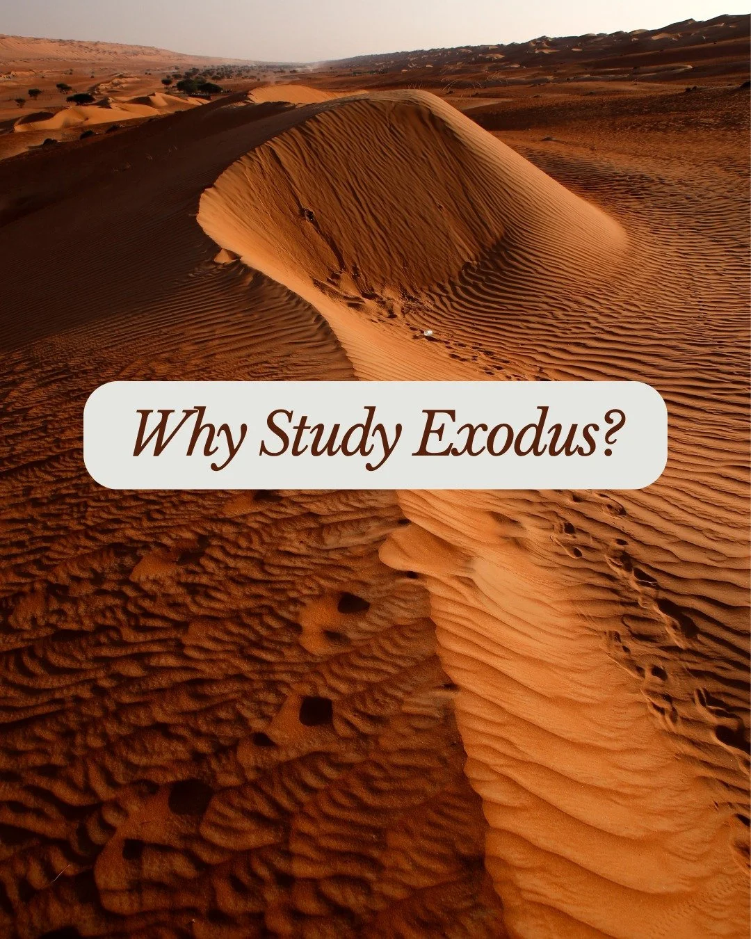 Why Exodus?

Because Exodus is more than the story of Israel leaving Egypt.

It is one of the defining stories of redemption in Scripture&mdash;a story that reveals the character of the God who hears the cries of His people, remembers His covenant, j