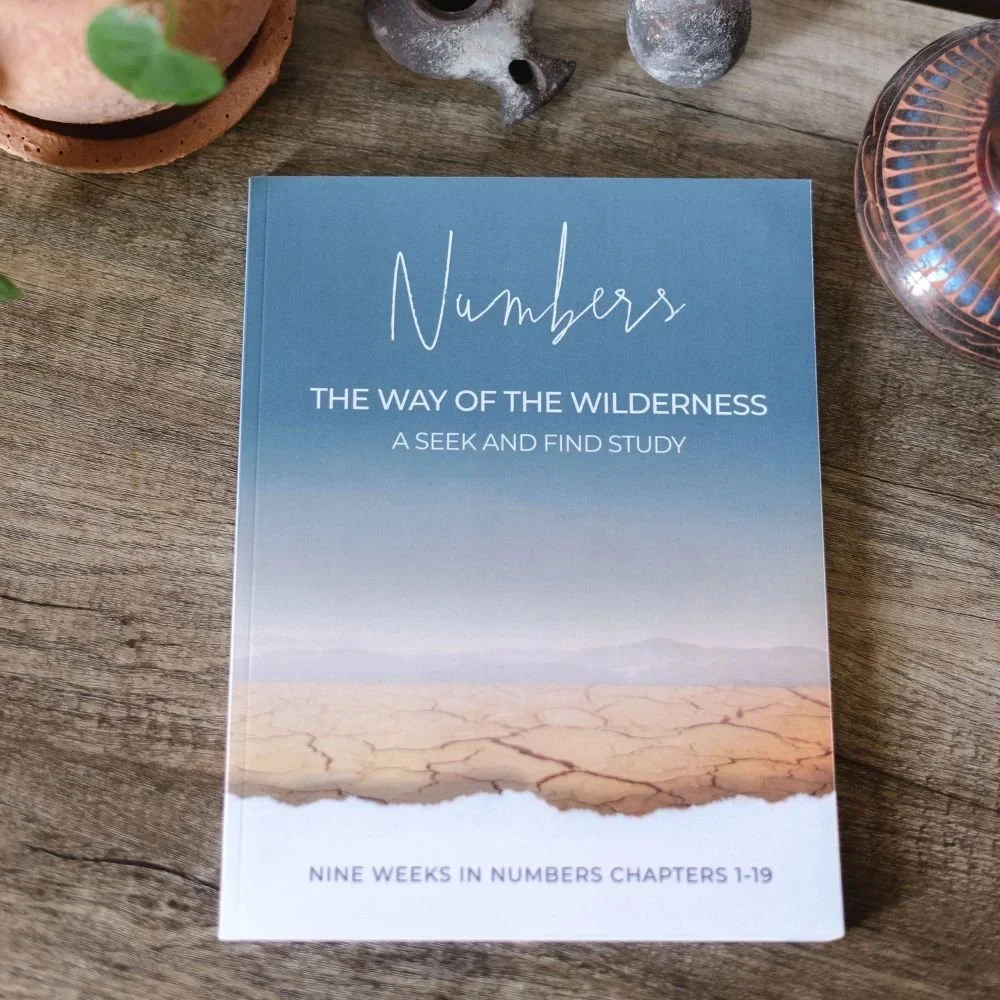 Numbers: The Way of the Wilderness: Nine Weeks in Numbers Chapters 1-19