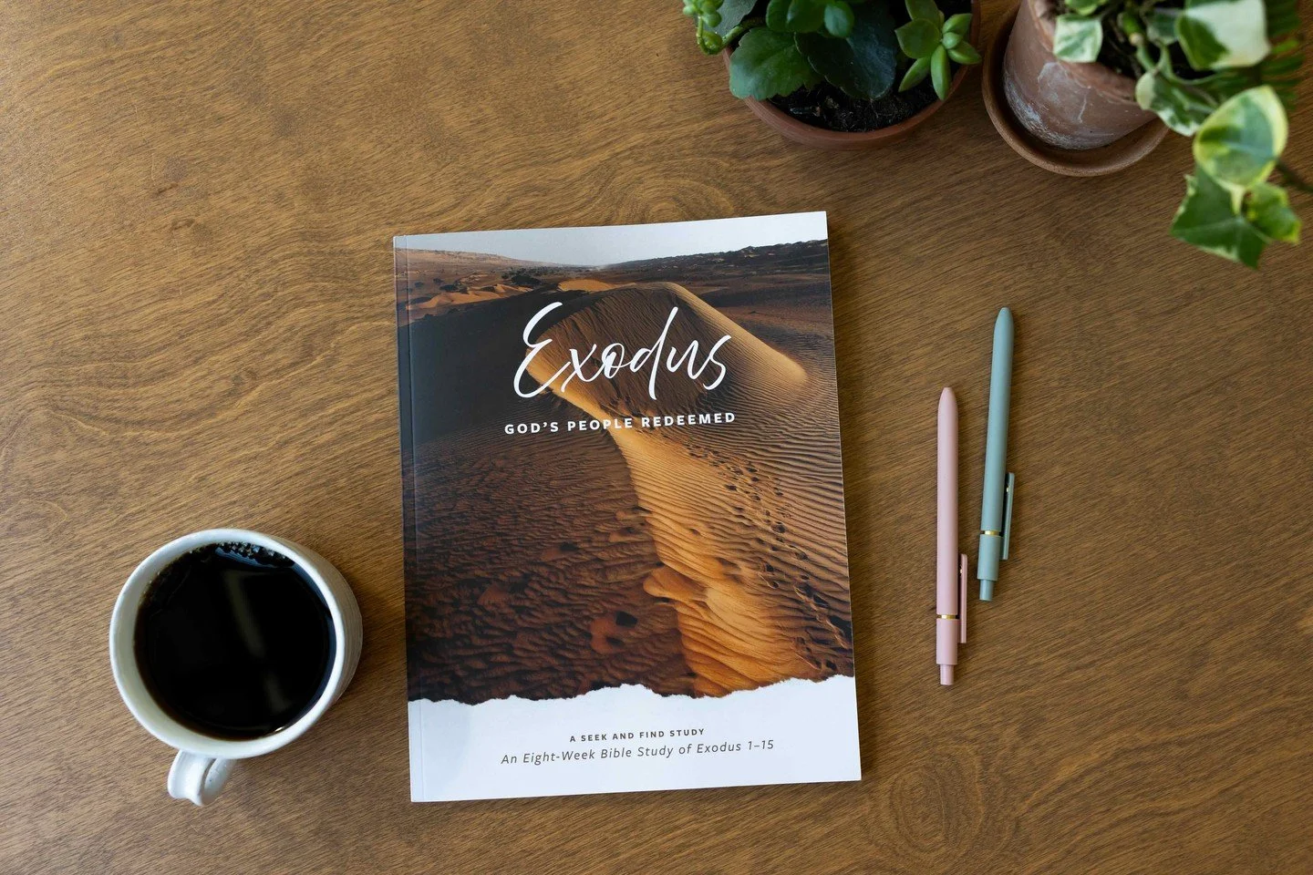 A beautiful book. An even more beautiful purpose. 🤎

We love seeing our Exodus study guides open on tables, filled with handwritten notes, highlighted passages, and the evidence of time spent in God's Word.

But here's what we hope you'll discover a