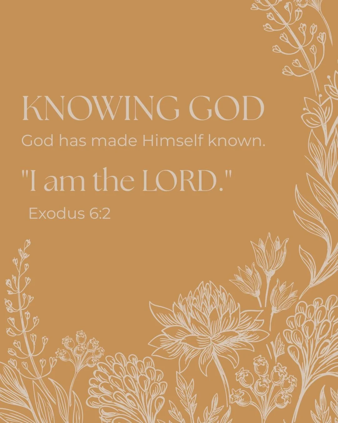 We do not have to guess who God is.

We do not have to construct an understanding of Him from our preferences, experiences, or assumptions.

**God has made Himself known.**

Throughout Scripture, He reveals His name, His character, His purposes, and 