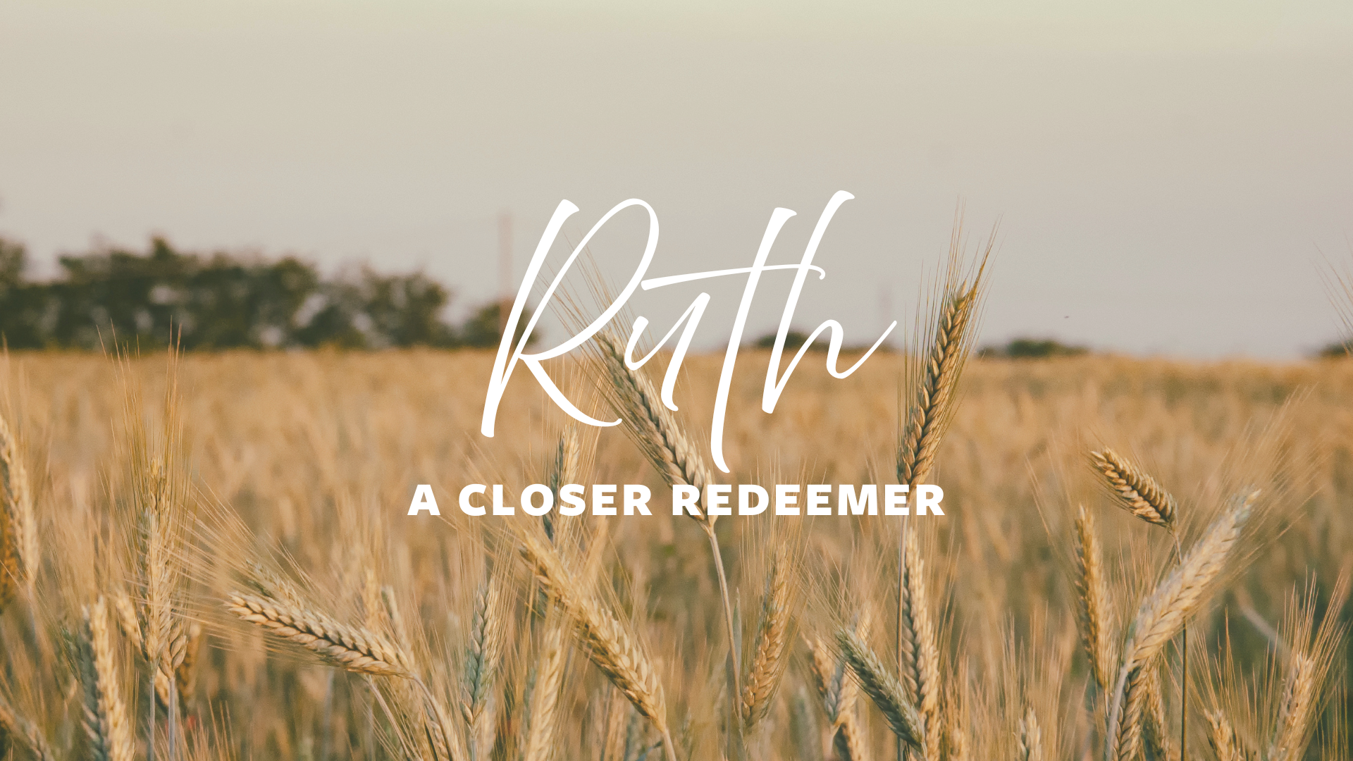 ruth seek and find teaching headers.png