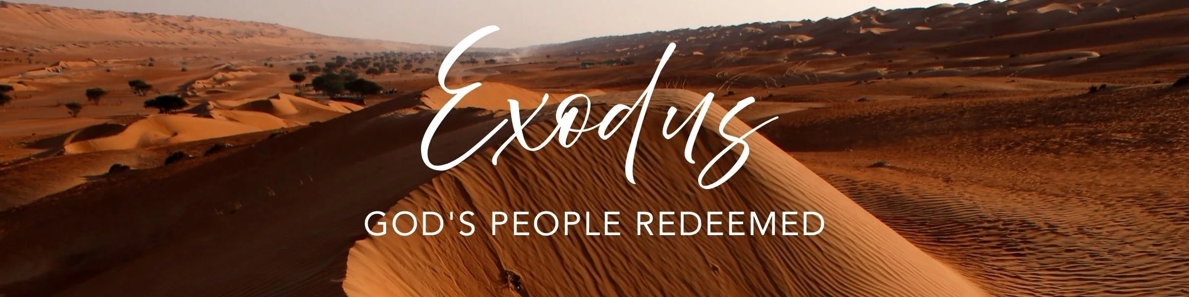 Seek and Find 2026 exodus.jpg