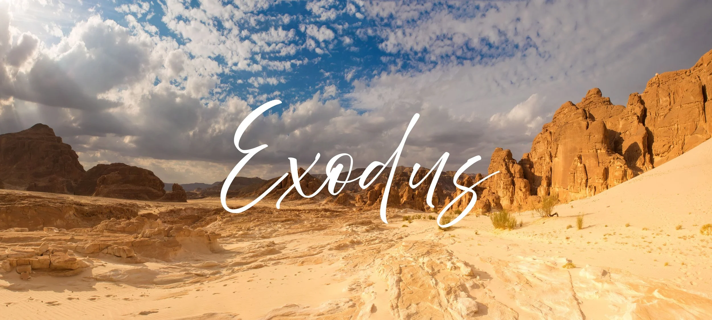 Exodus Header.jpg