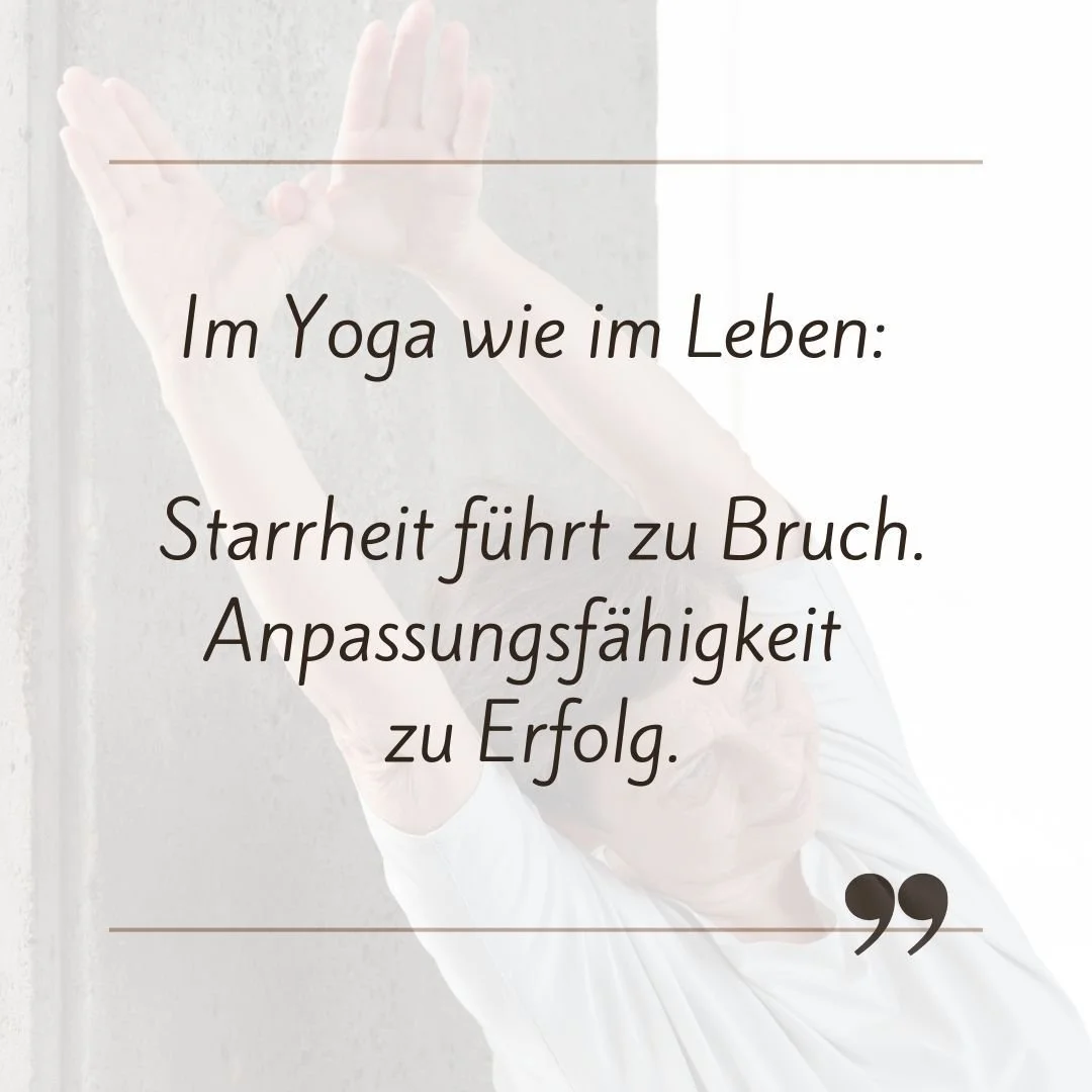 Weil auf lange Sicht Yoga zu einer Haltung wird, doch das kommt ganz von selbst.
#yoga #fruehling #yinyoga #yogaberlin