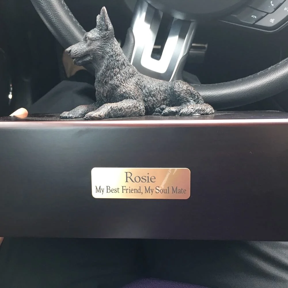 Rosie - Finally back at home..jpg