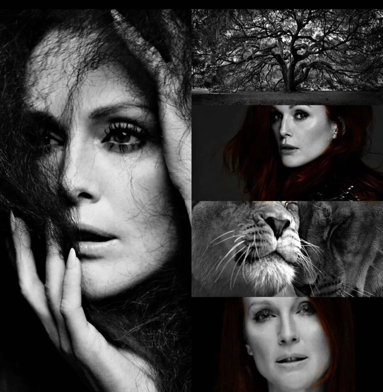 The ageless beauty that you see here is a perfect representation of what Rhea embodies! The balance and love within and surrounding all that is the Universe. #breathtaking #agelessbeauty #chooselove #choosehappiness #honornature #honoryourself #rhea 