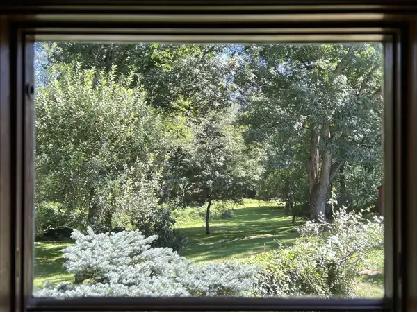 A VIEW FROM CLAPBOARD RIDGE