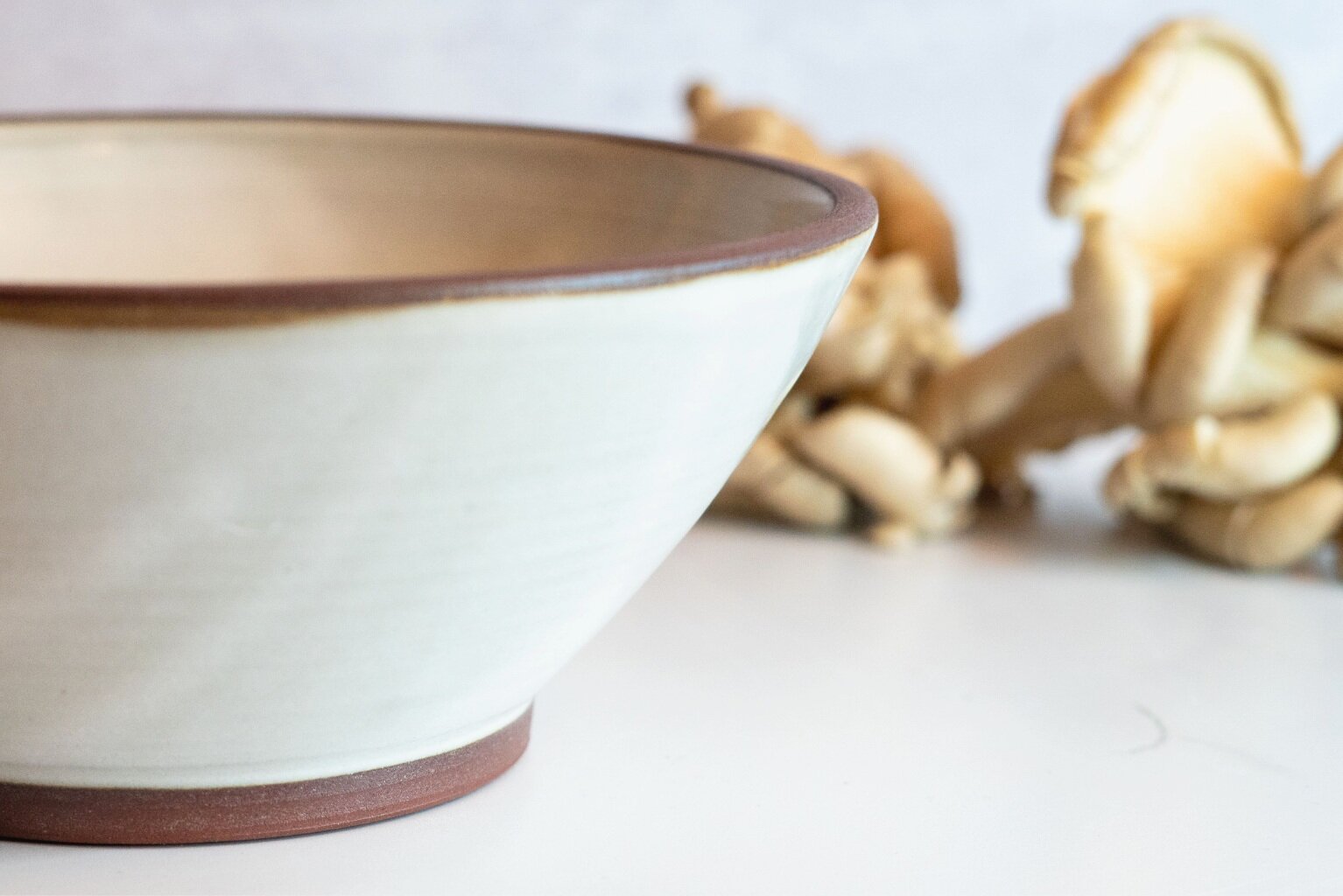 Desert white ramen bowl