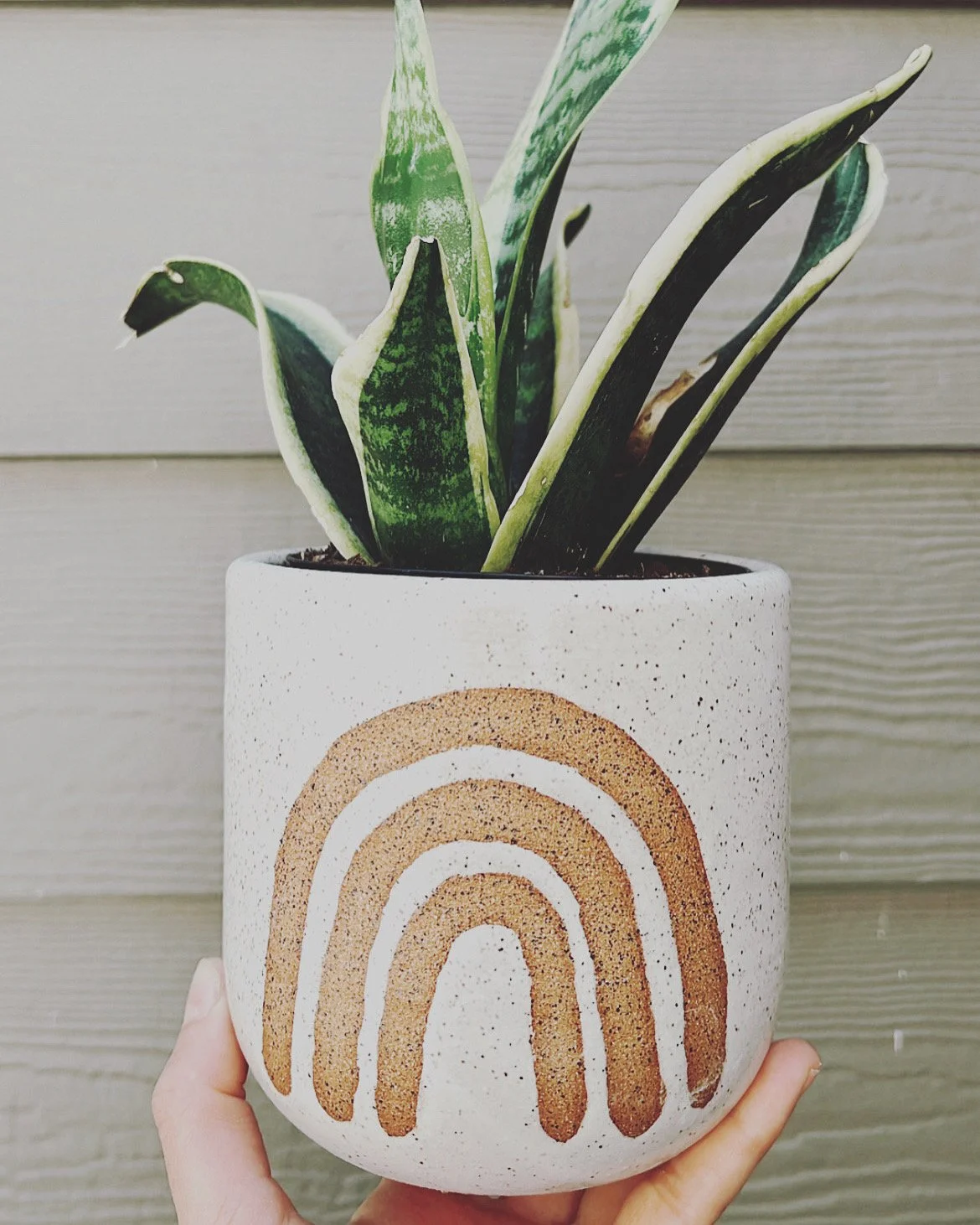 Rainbow Planter Pot