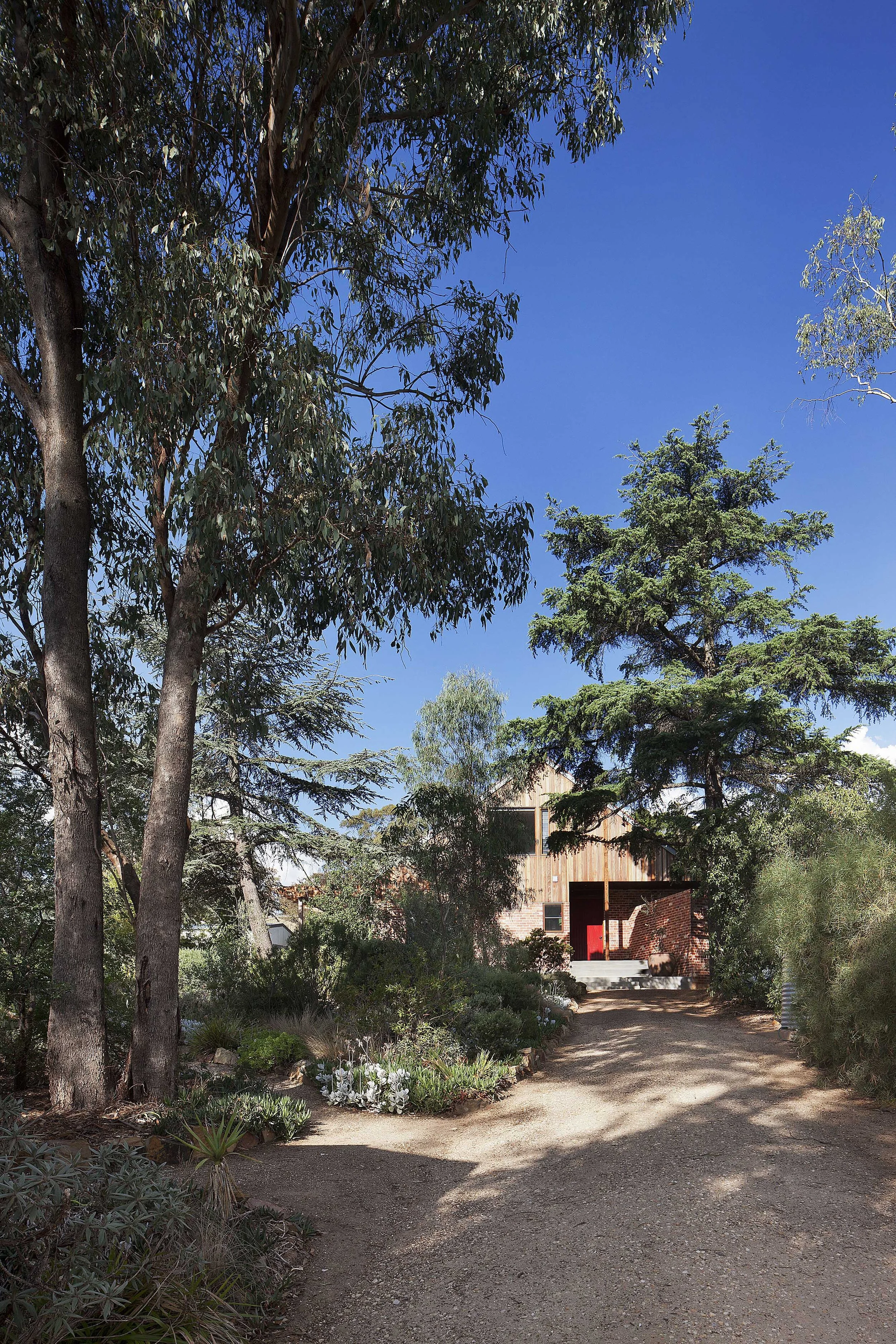 david-frazer-house-driveway-logan-studio-©-lsa-smg.jpg