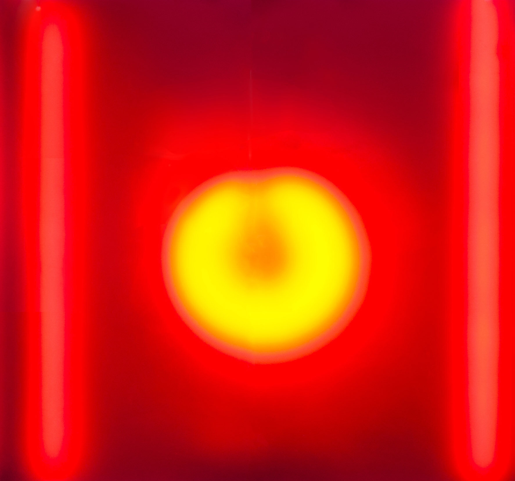 margo-bar-red-logan-studio-©-lsa-smg.jpg