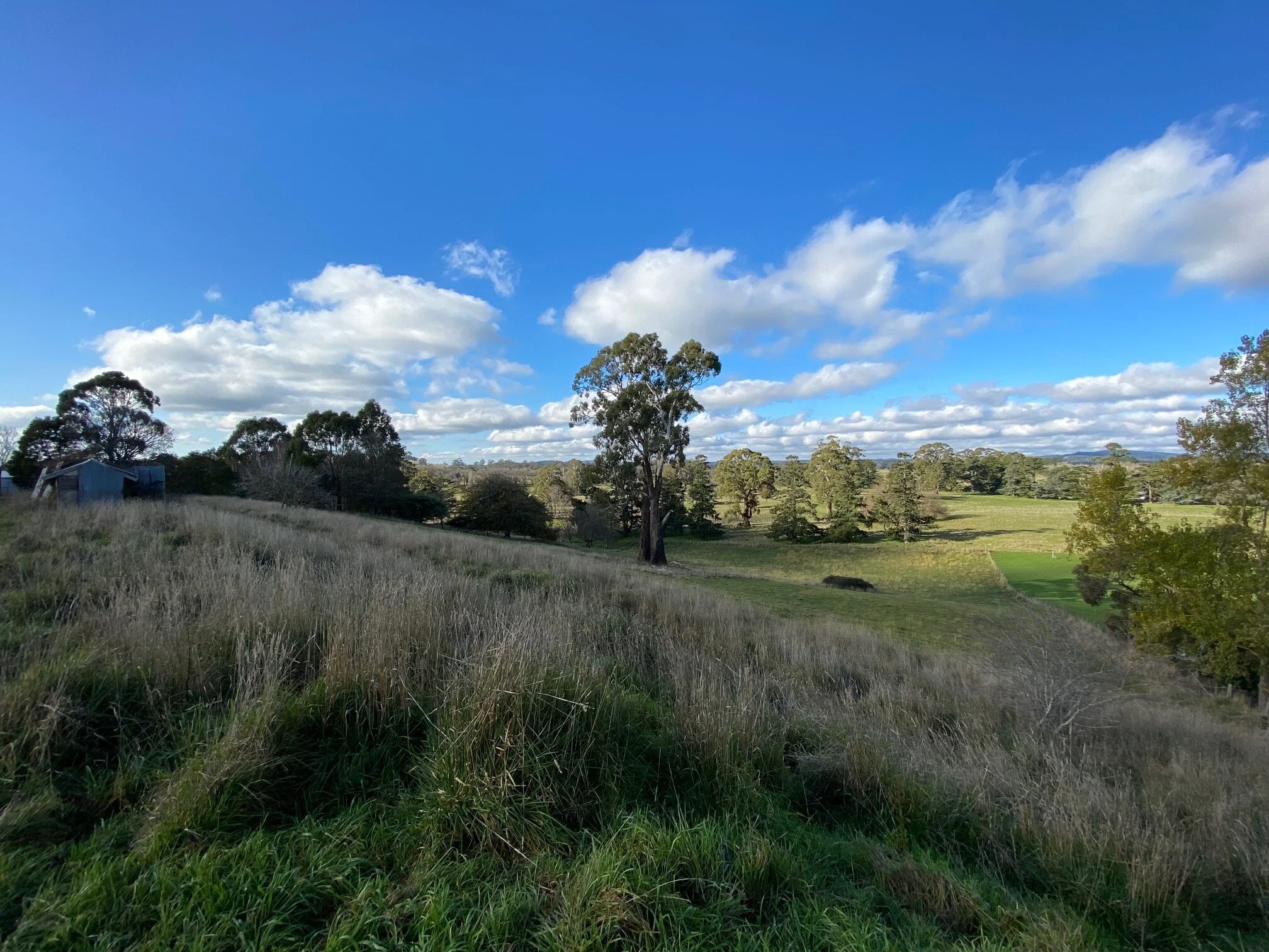 East view.jpg