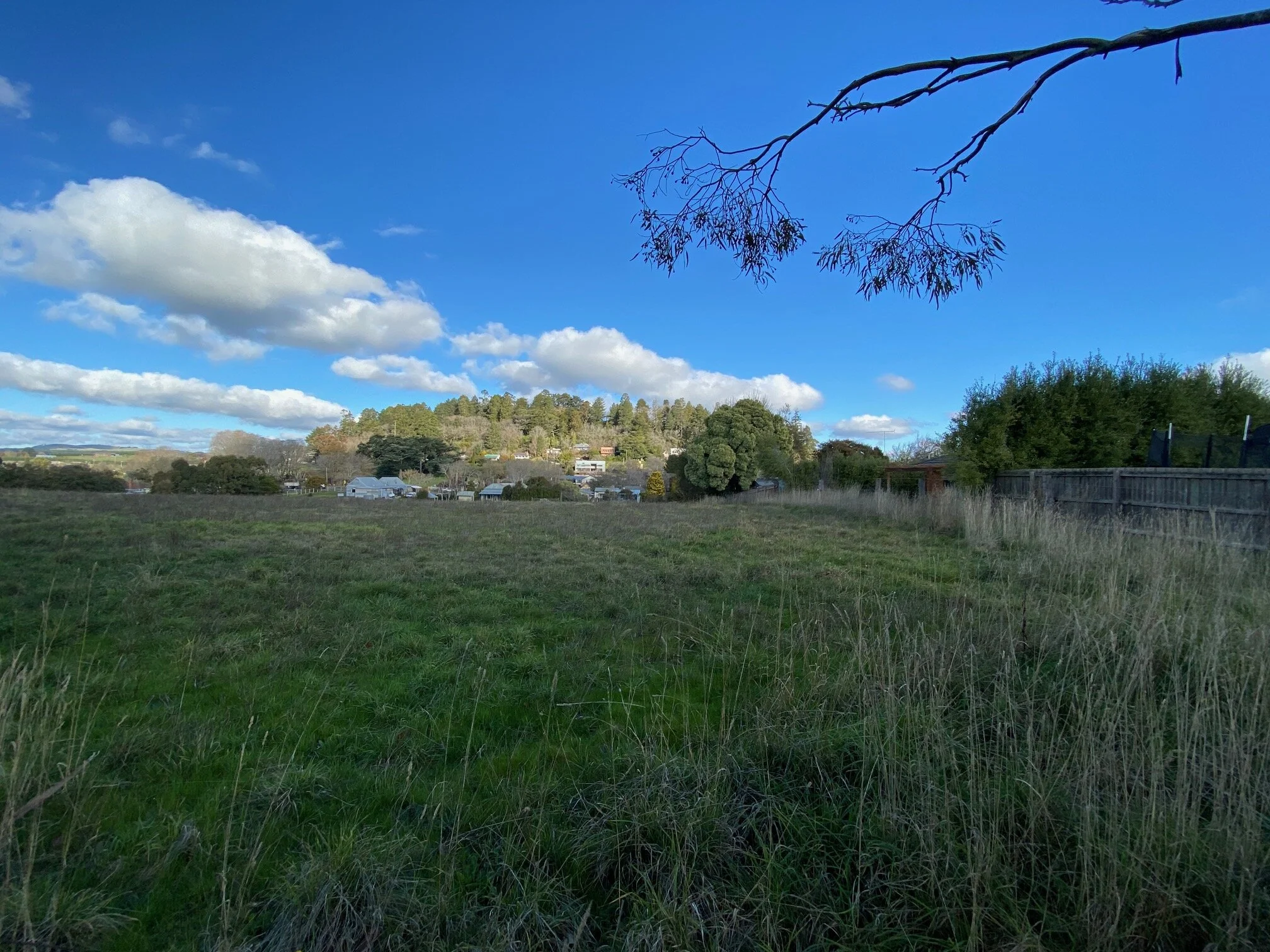 daylesford-wombat-hill-logan-studio-©-lsa.jpg