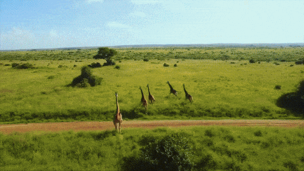 A GIF of travel destinations and experiential travel moments
