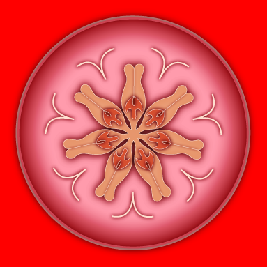 Steiner inspired MARS SEAL