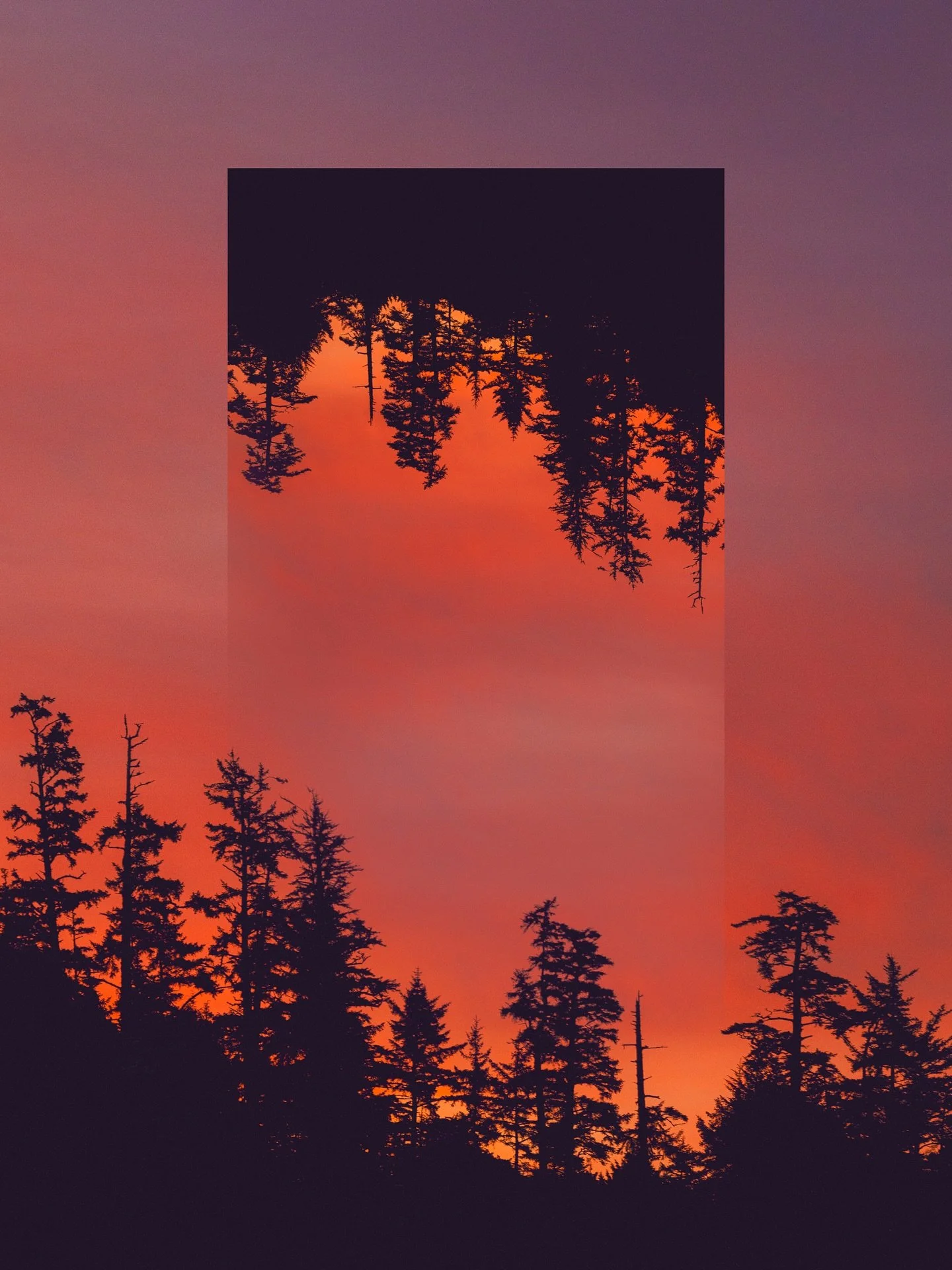 Back in October of last year, I was in Tofino for a VERY special wedding, which I hope to share more about soon. But while I was there, I pushed myself to go out and capture as many sunrises as I could, which wasn&rsquo;t too difficult since my partn