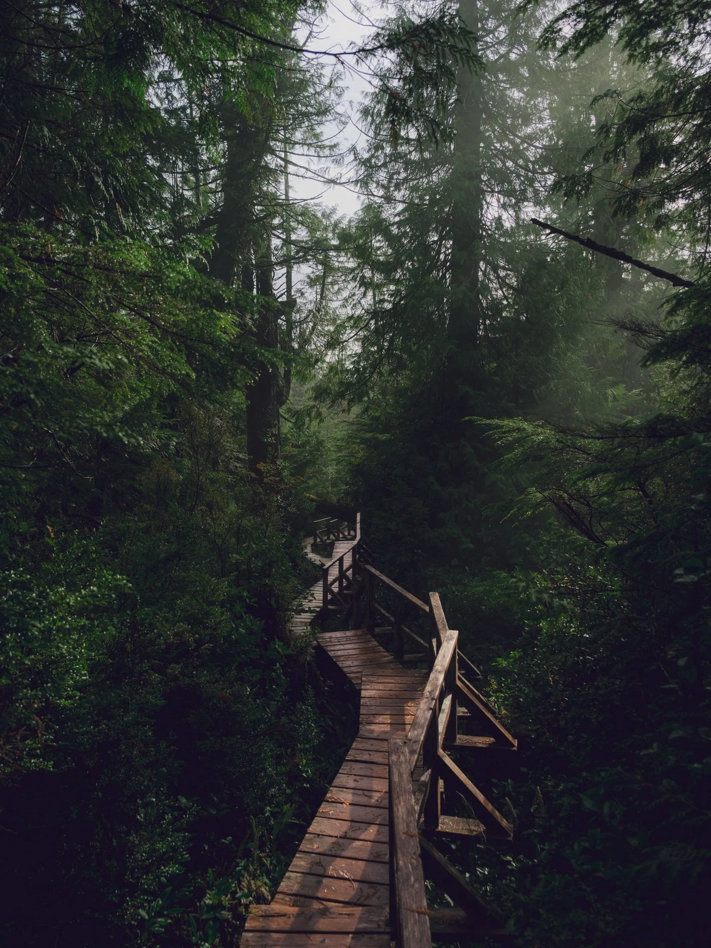 I don&rsquo;t think I&rsquo;ll ever stop dreaming about this place. How am I supposed to wait until next year to go back to Vancouver Island?!? I&rsquo;m too impatient. 🙃⏳

#creativelandscapes #tourismtofino #boardwalk #canadianphotographer #landsca
