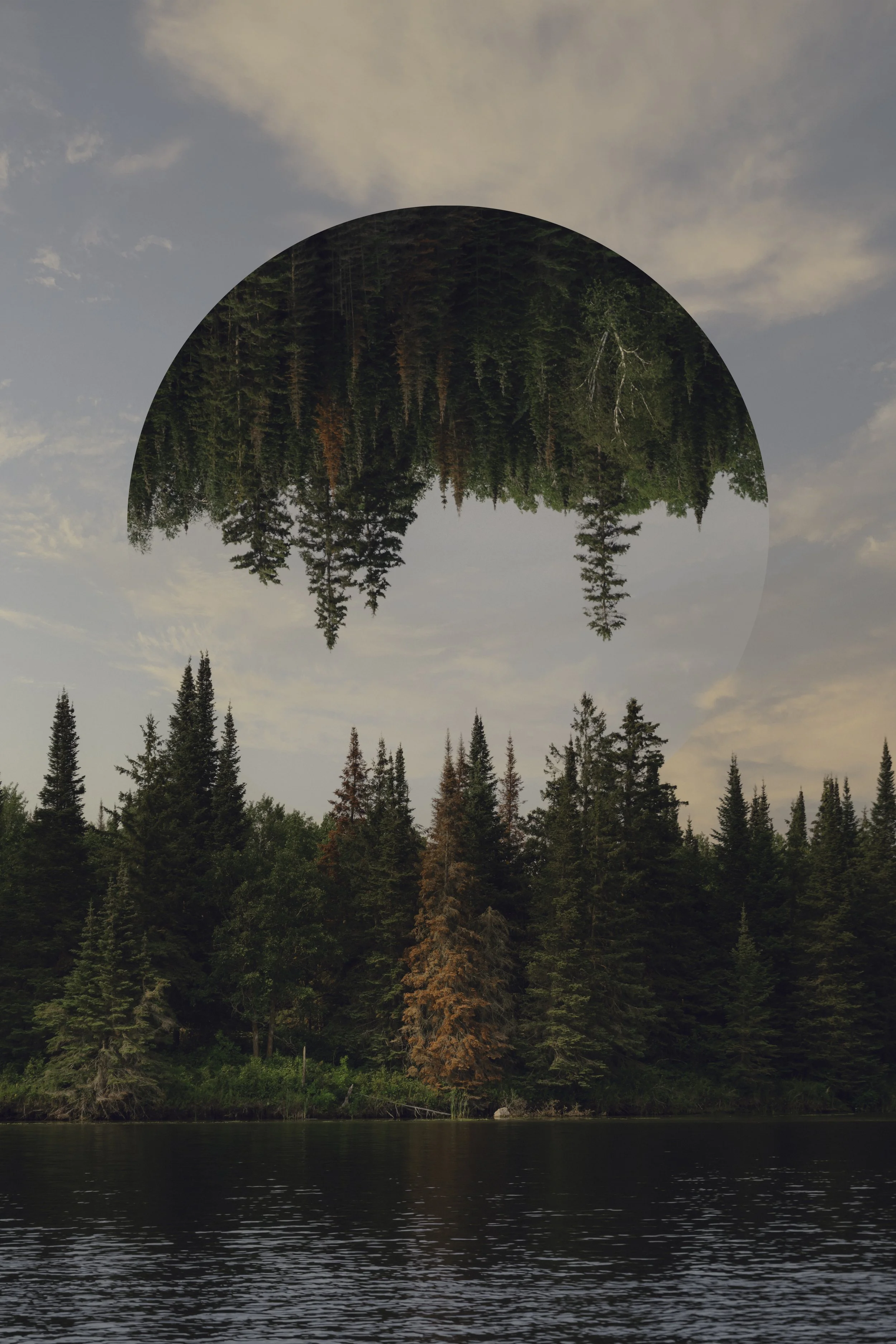 Treescape, Pinawa, MB