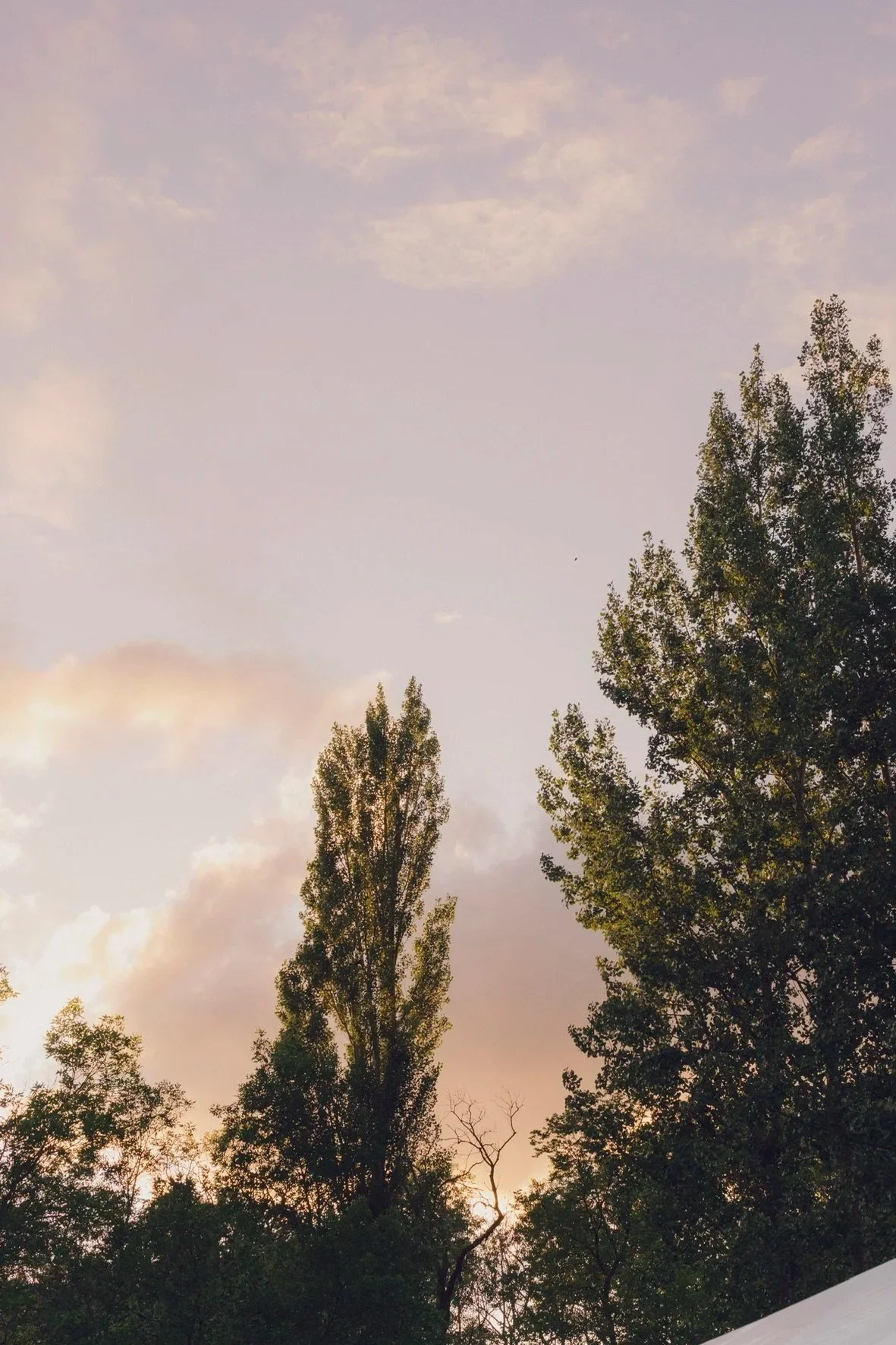 Sun setphoto from 2025 wedding photography_for Contact Form