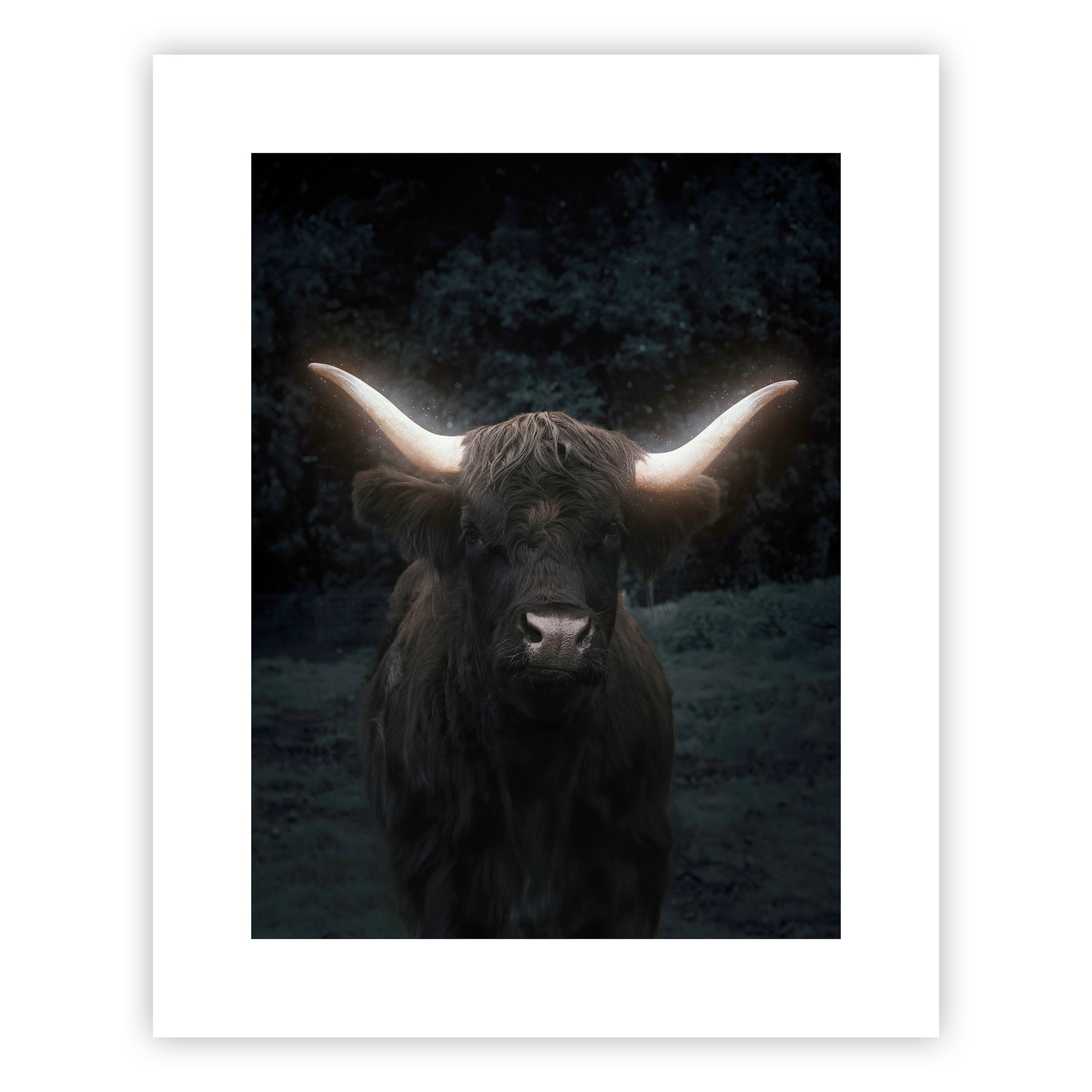 Spirit of the Highlands.jpg