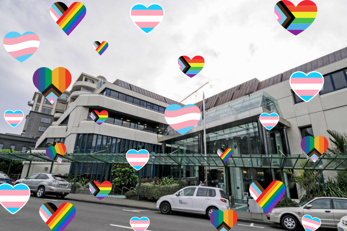 Join us to support PATHA in the Wellington High Court; 13-15 July