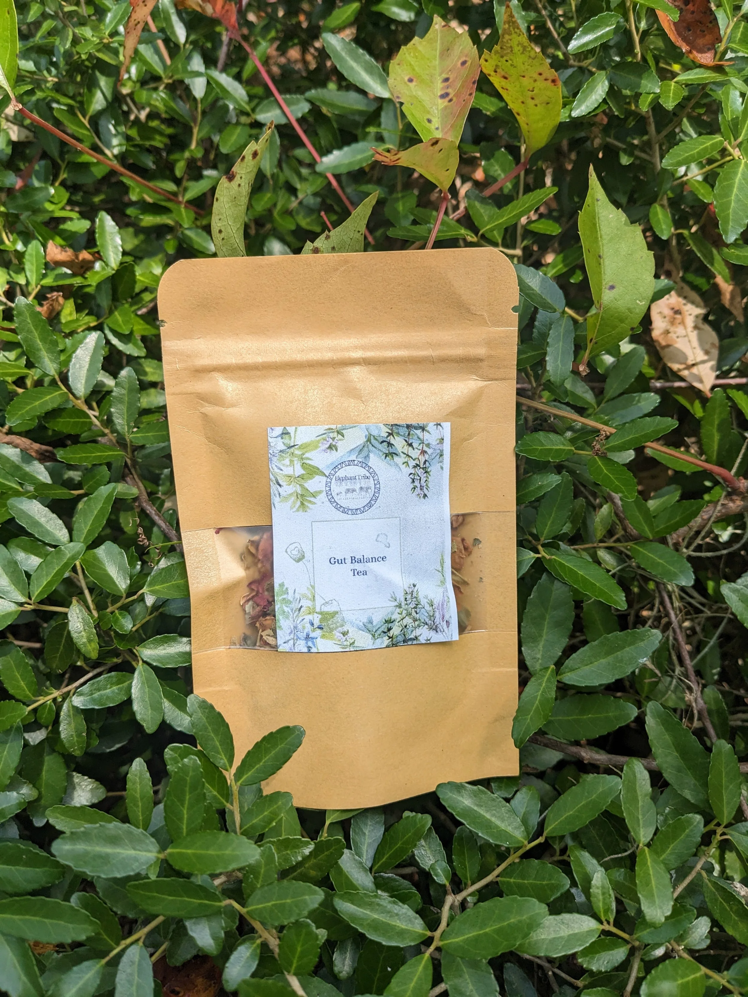 Gut Balance Tea