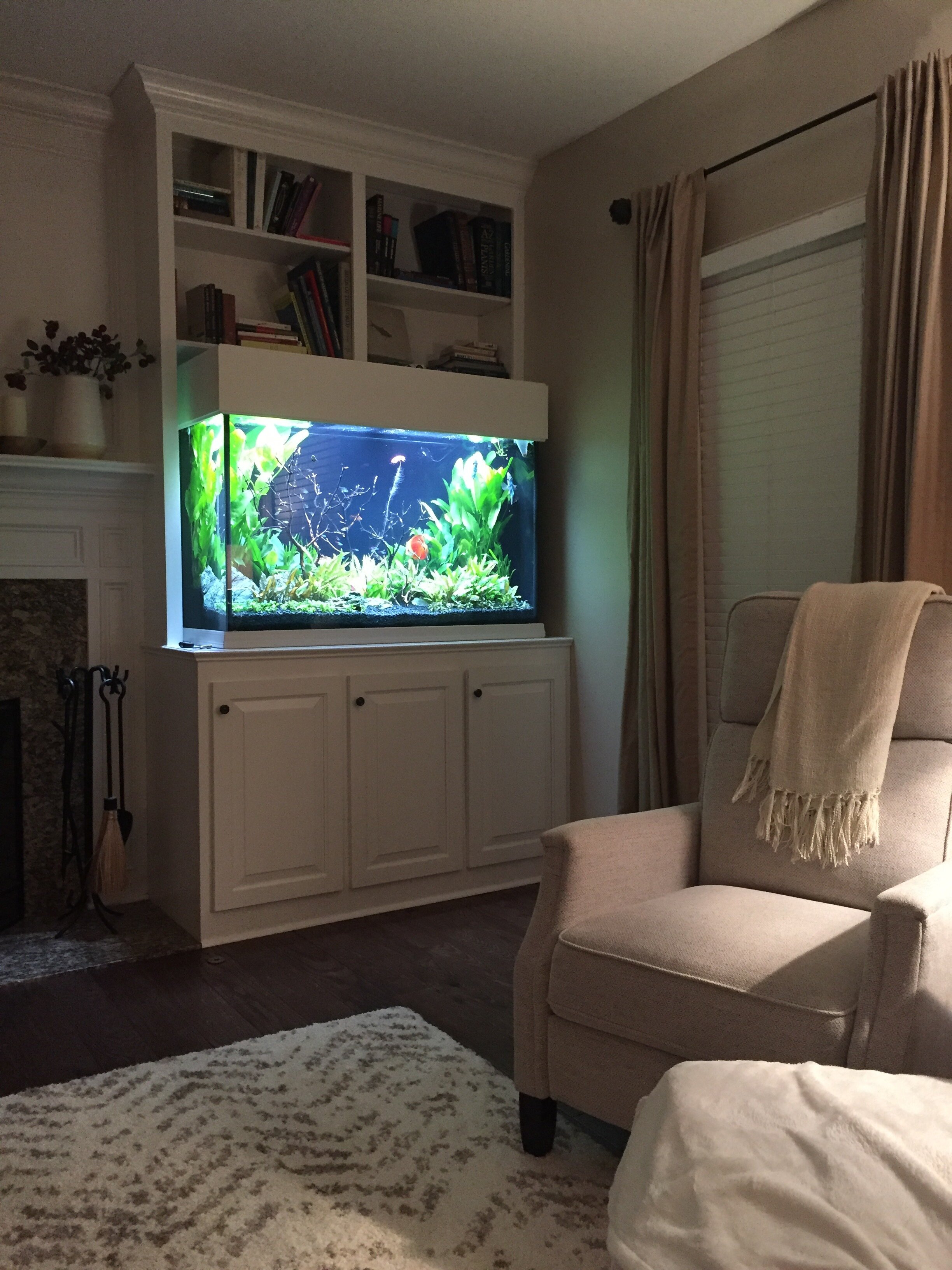Home Aquarium.jpeg
