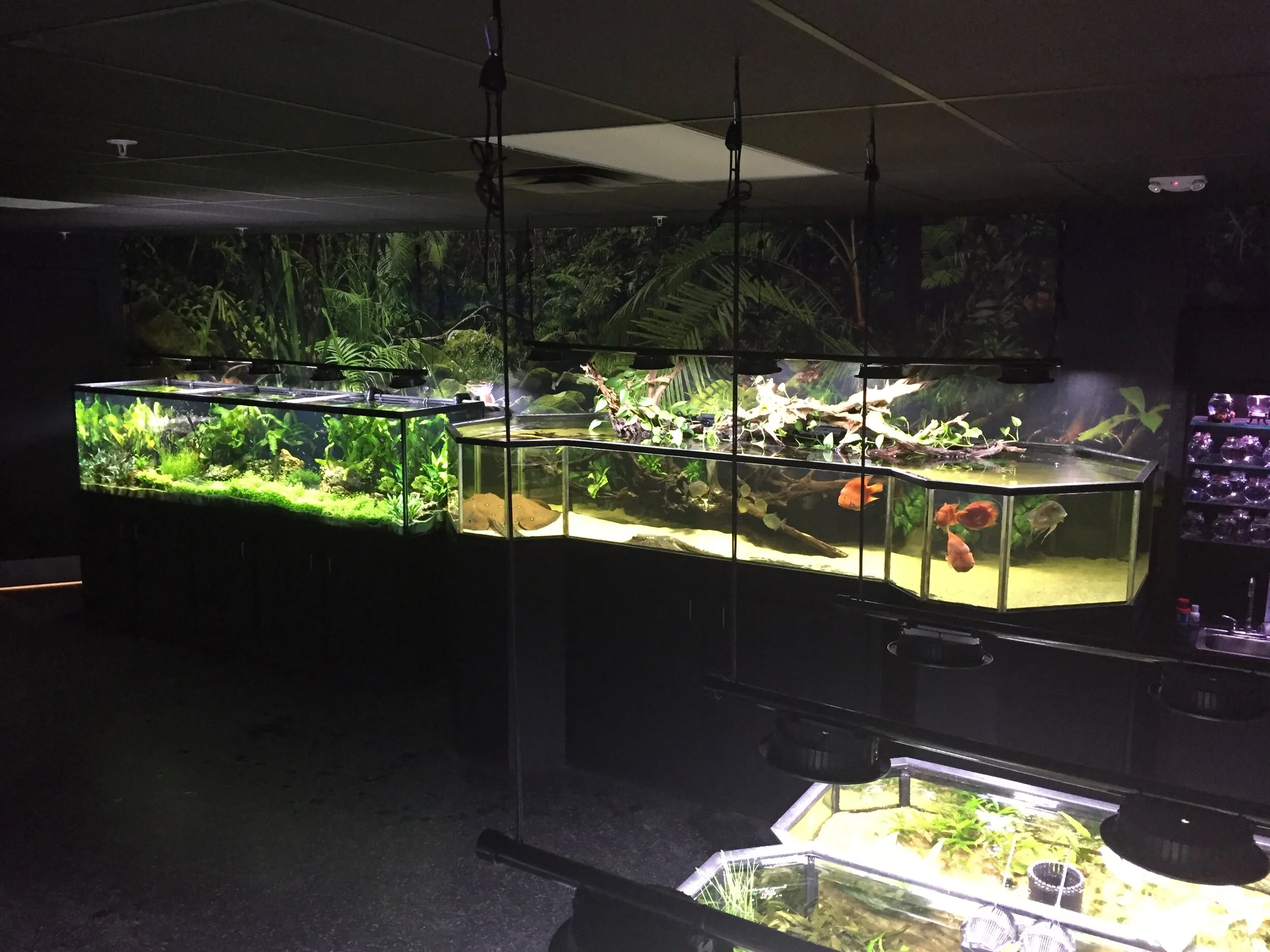 Aquarium Lighting — Aquarium Adventure Columbus