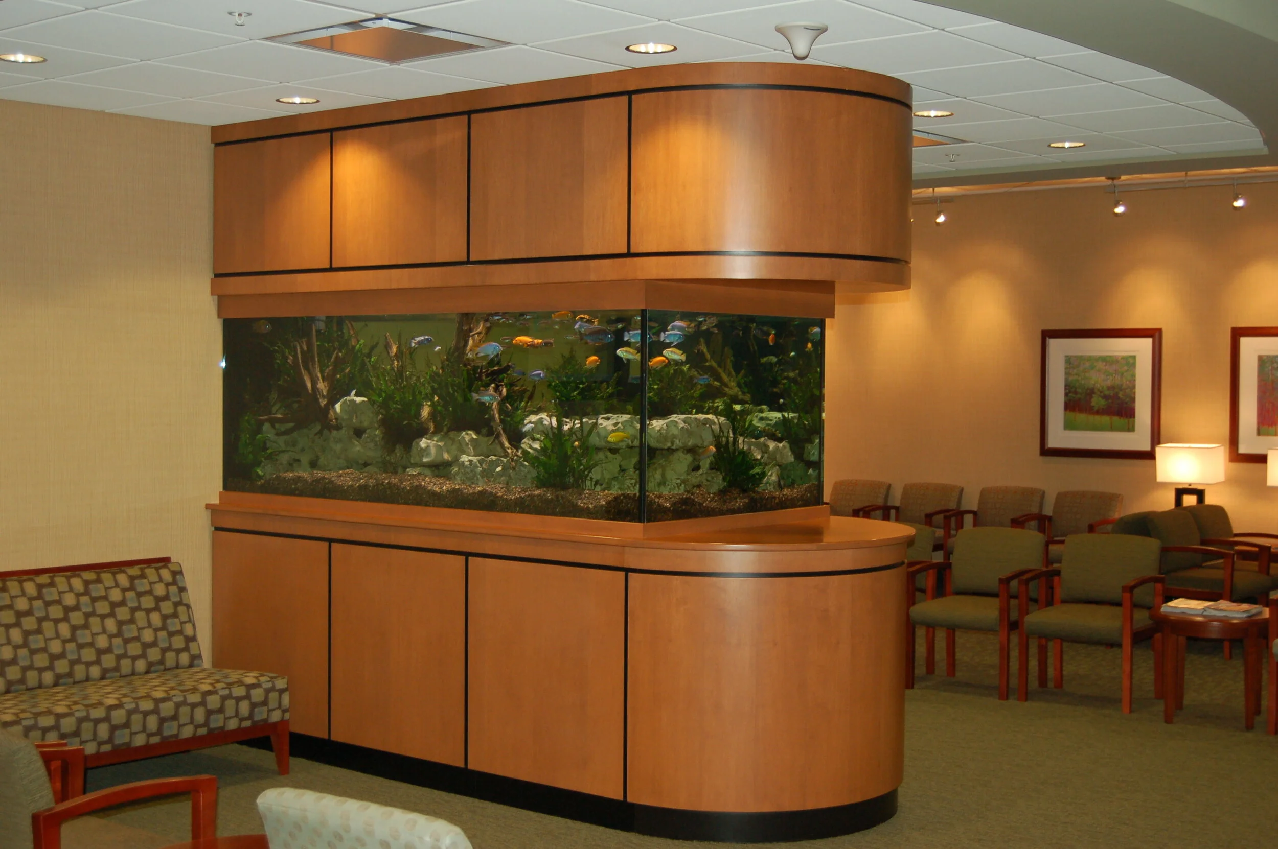 Aquariums — Aquarium Adventure Columbus