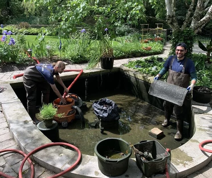 Pond Service — Aquarium Adventure Columbus