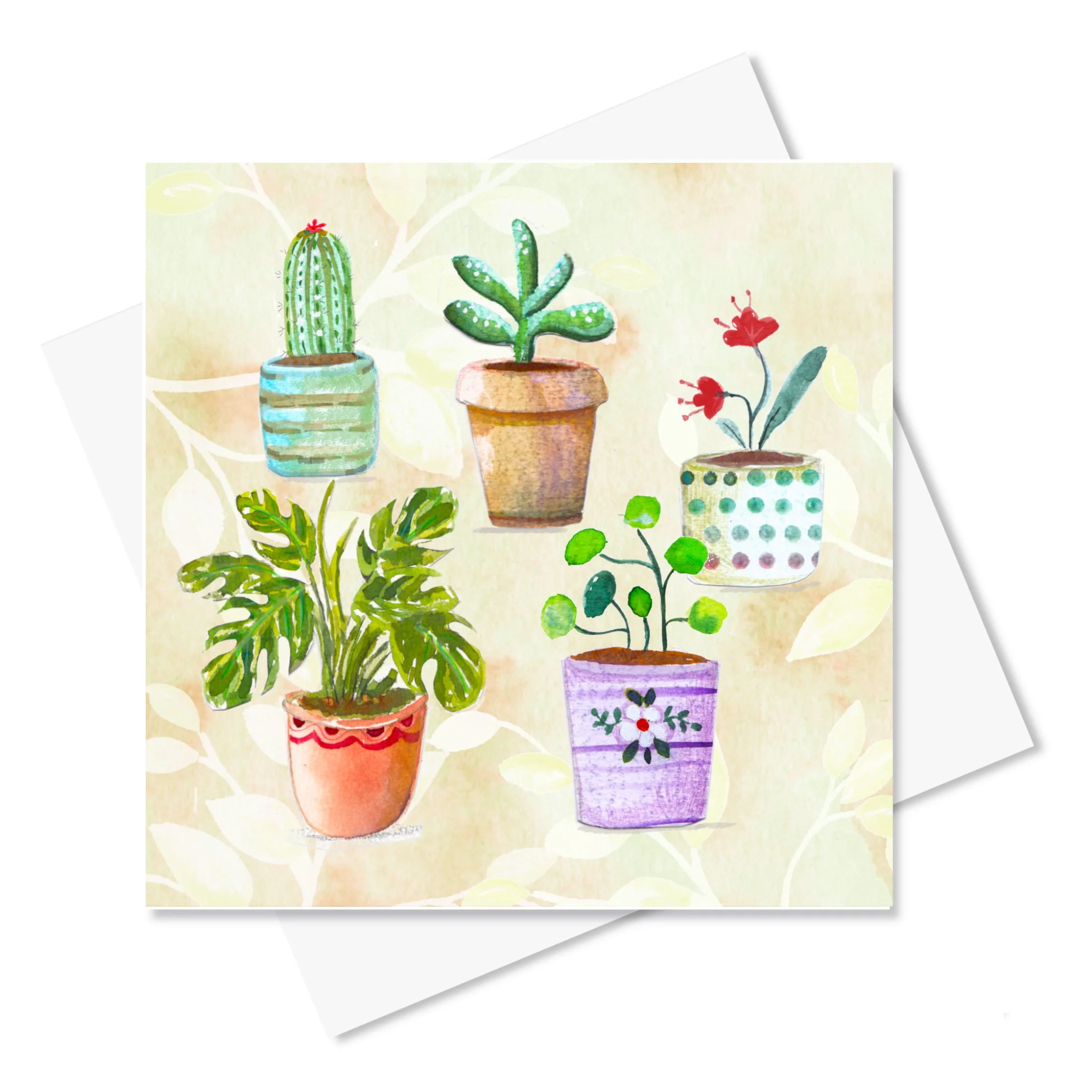 Potted Plants