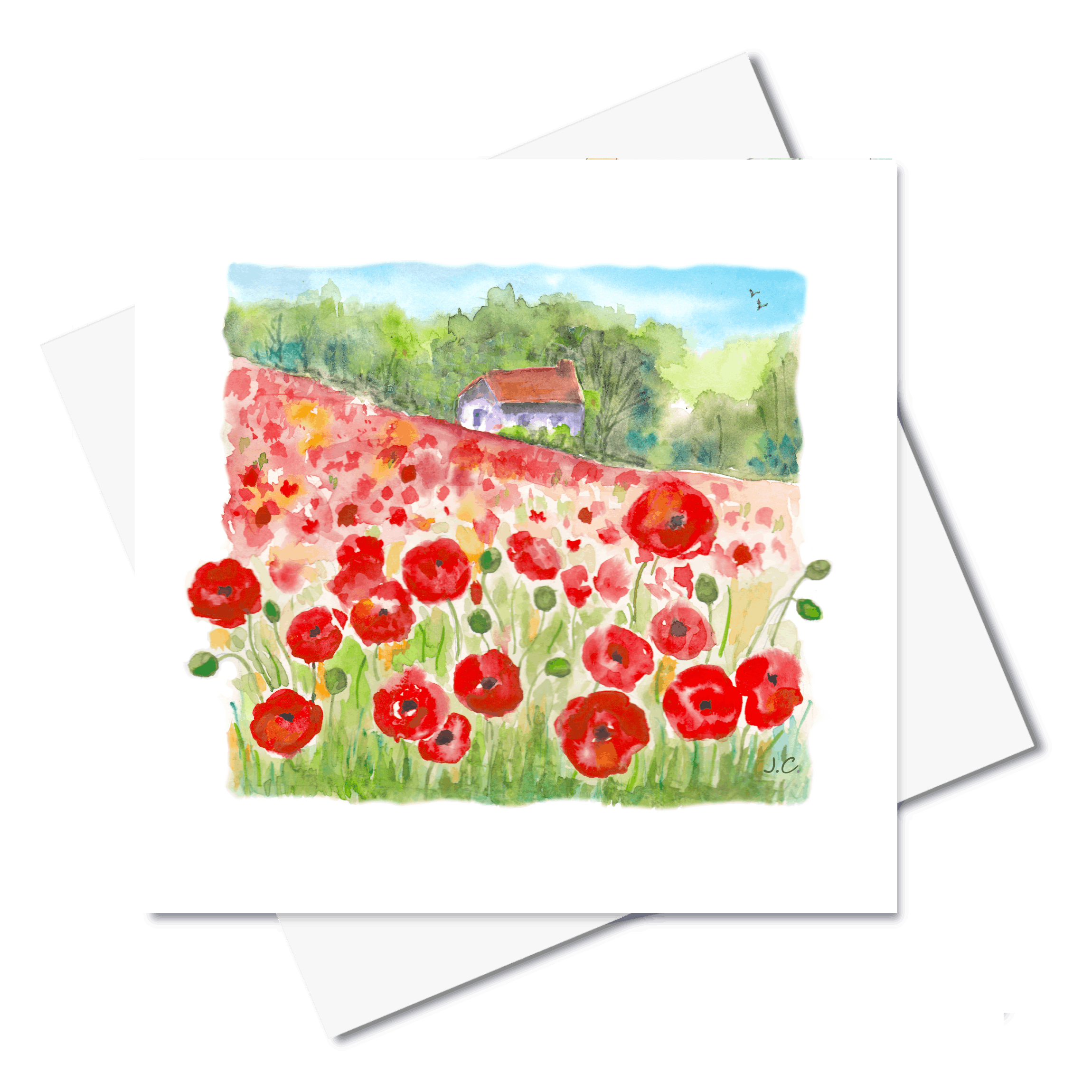 Poppy Field