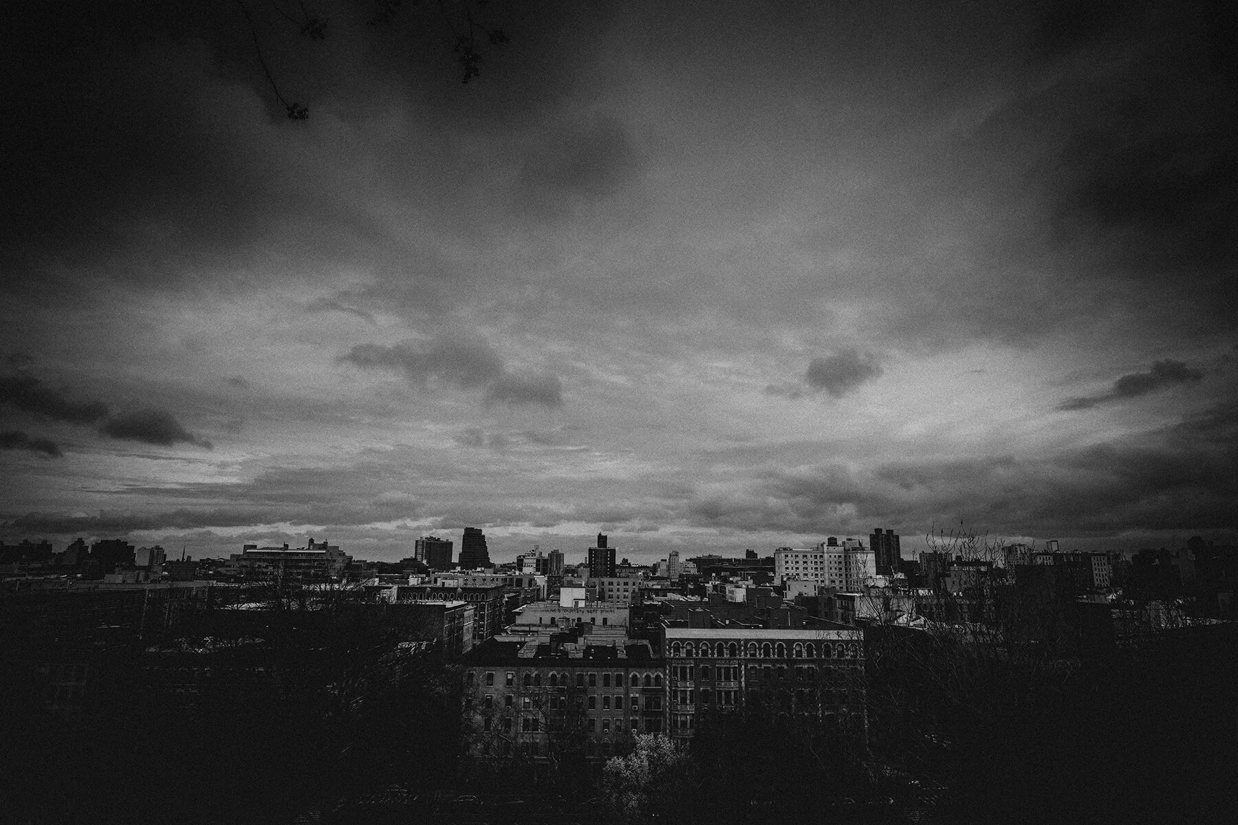 _DAY9062.jpg