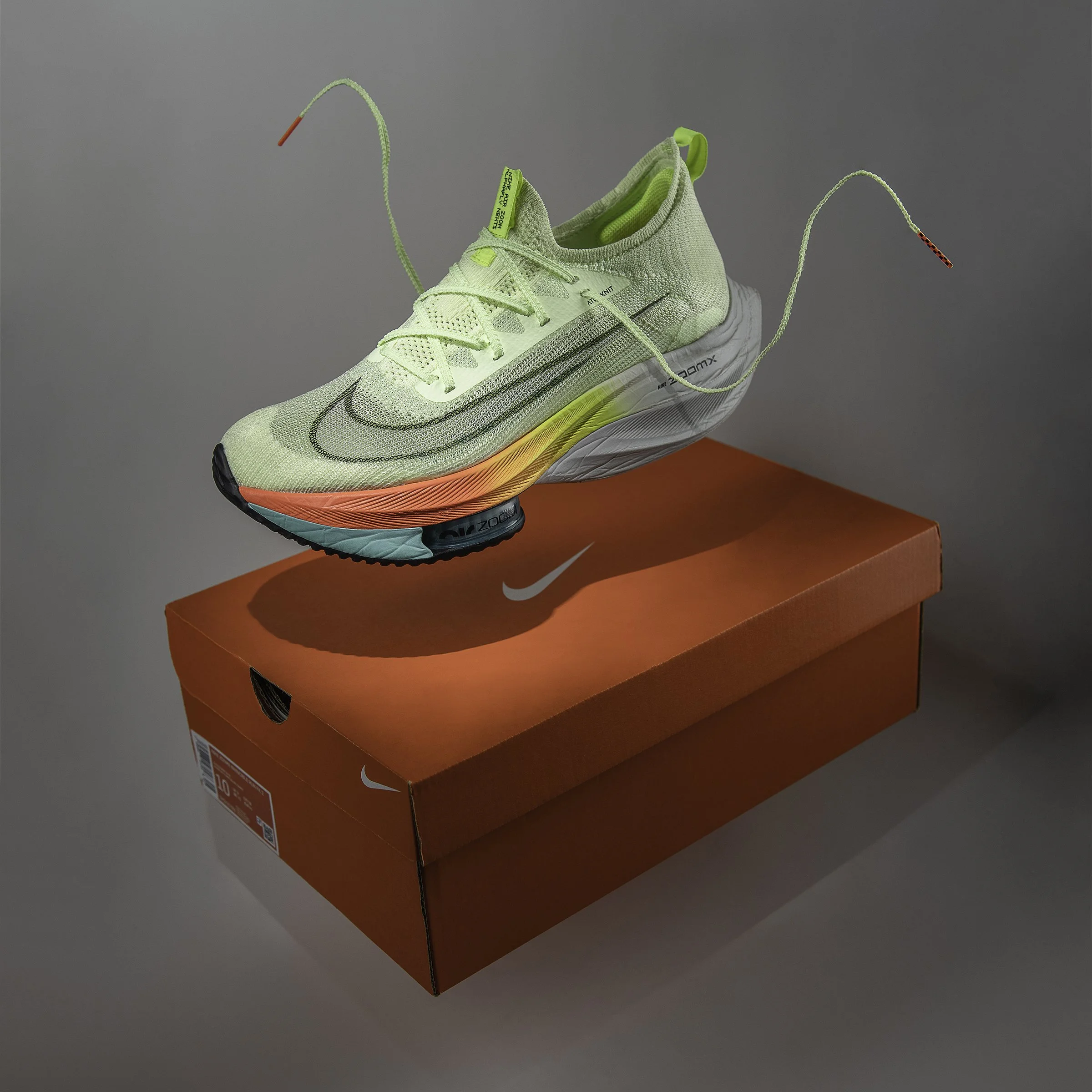 puga-nike-shoe-1.jpg