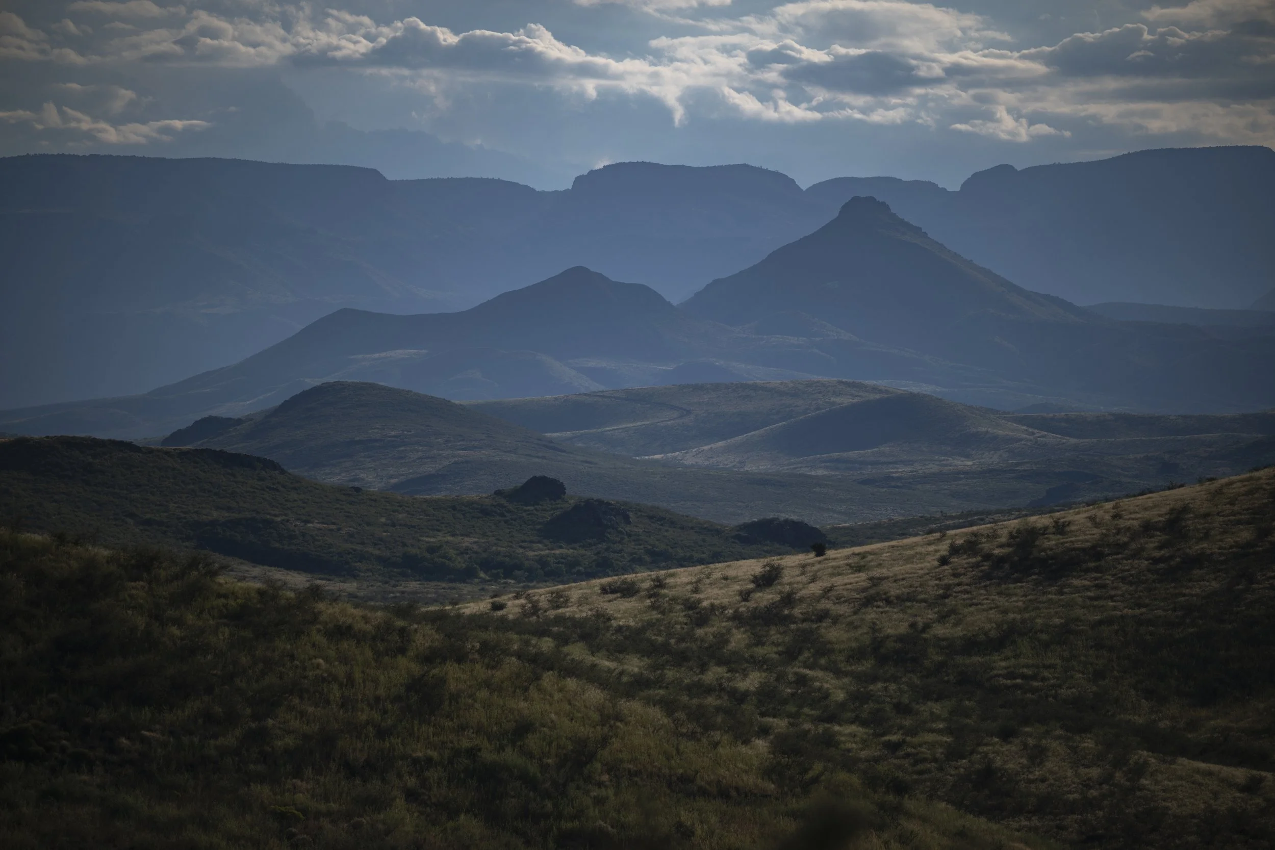 image-9.jpg