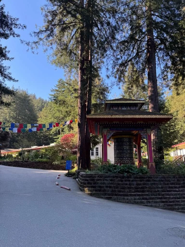 WhatsApp Image 2026-03-16 at 00.52.51 (3).jpeg