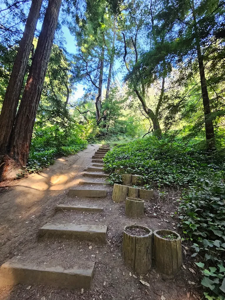 Joaquin Miller Park Karuna Community Hike